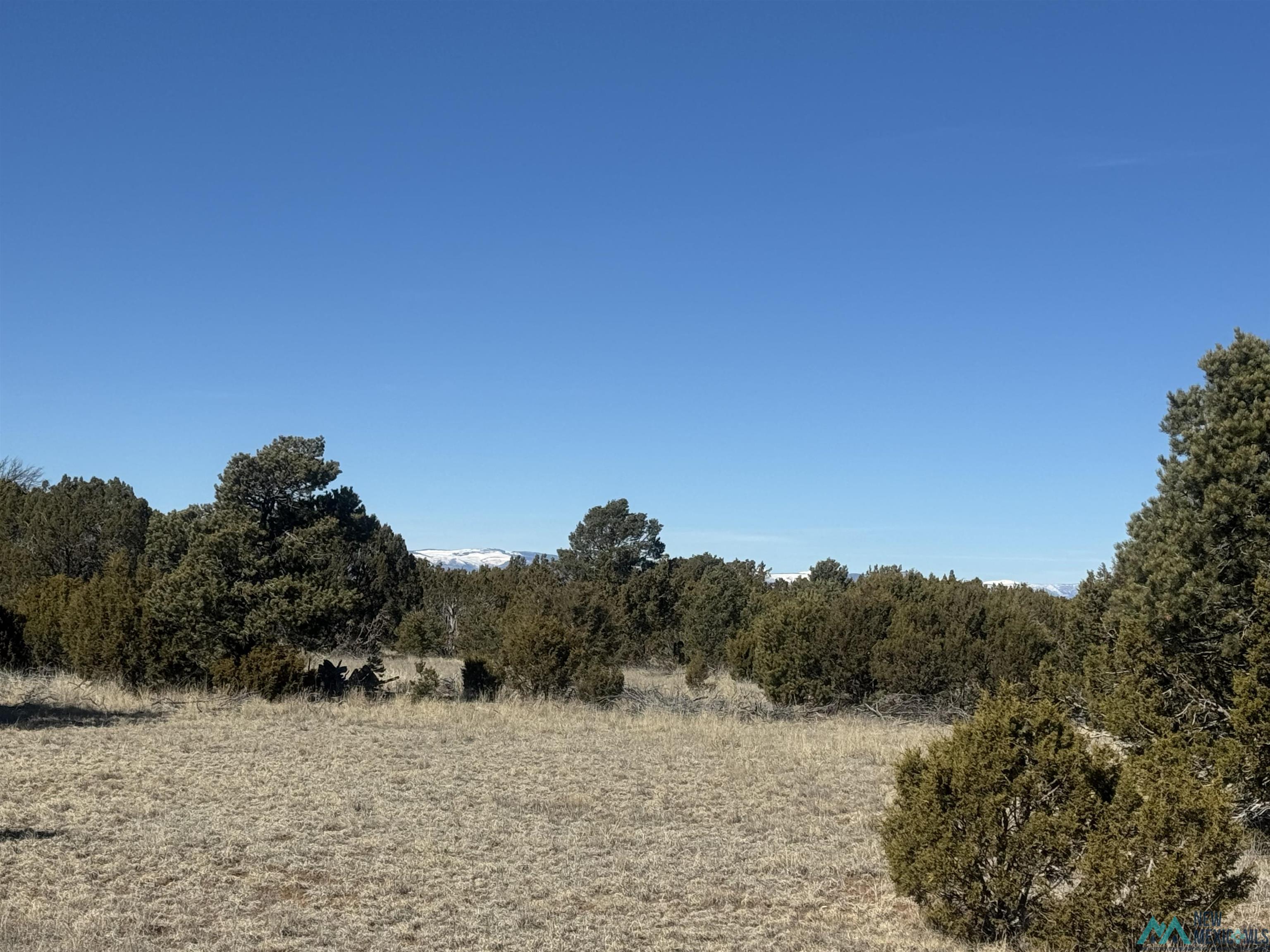 320+/-ac Apache Mesa, Las Vegas, New Mexico image 40