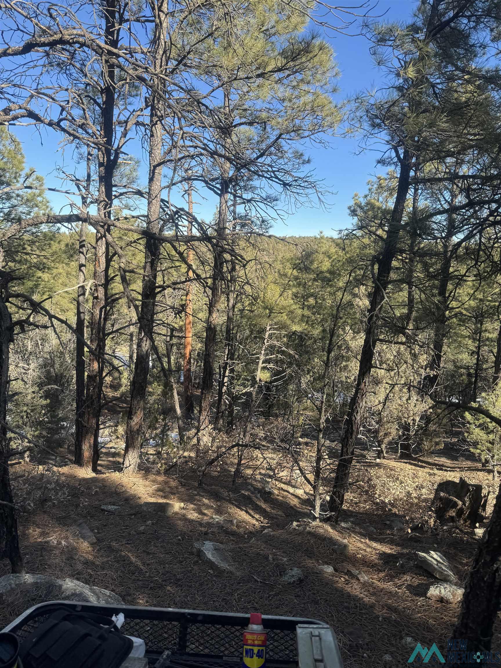 320+/-ac Apache Mesa, Las Vegas, New Mexico image 8