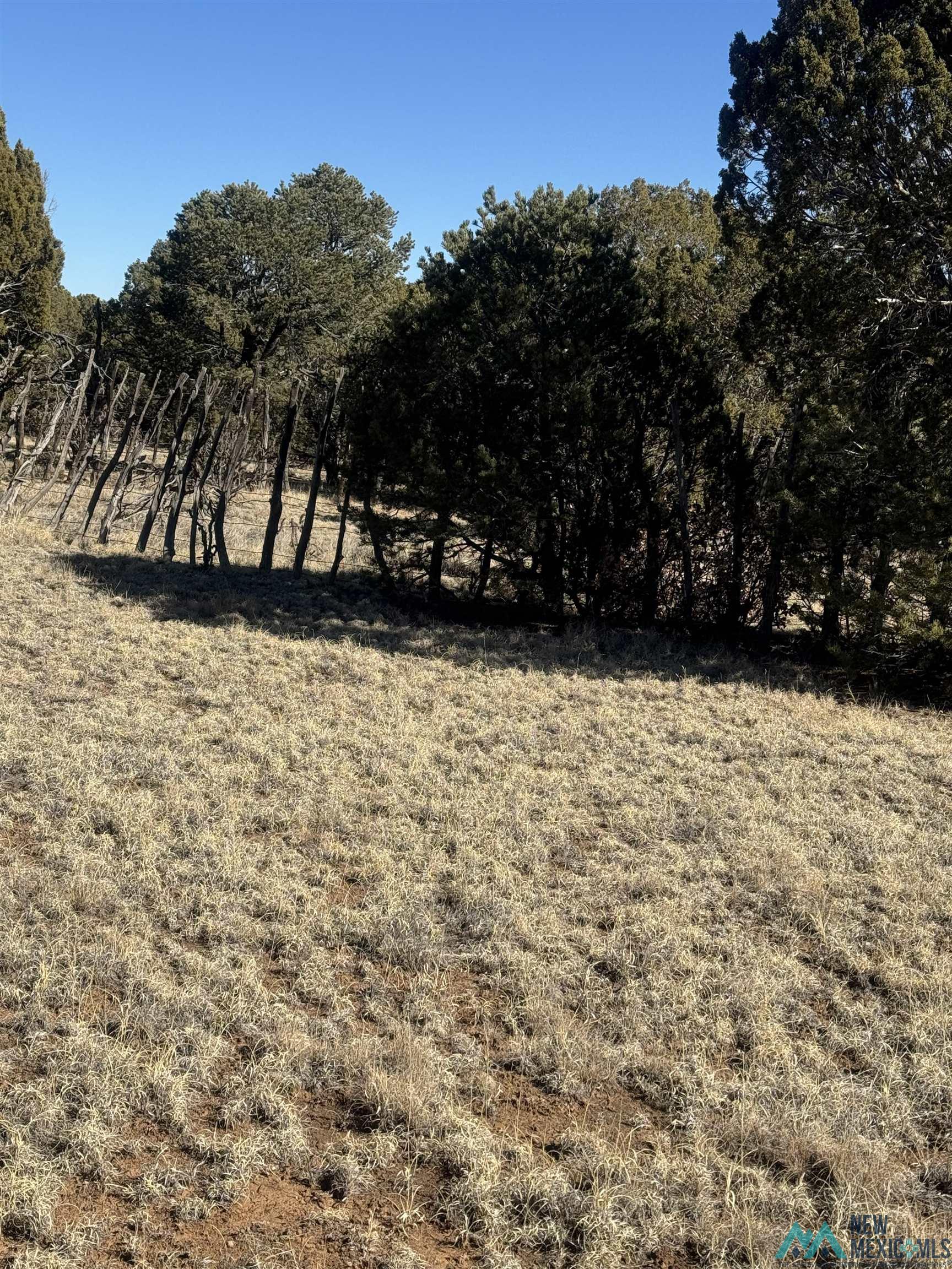 320+/-ac Apache Mesa, Las Vegas, New Mexico image 46