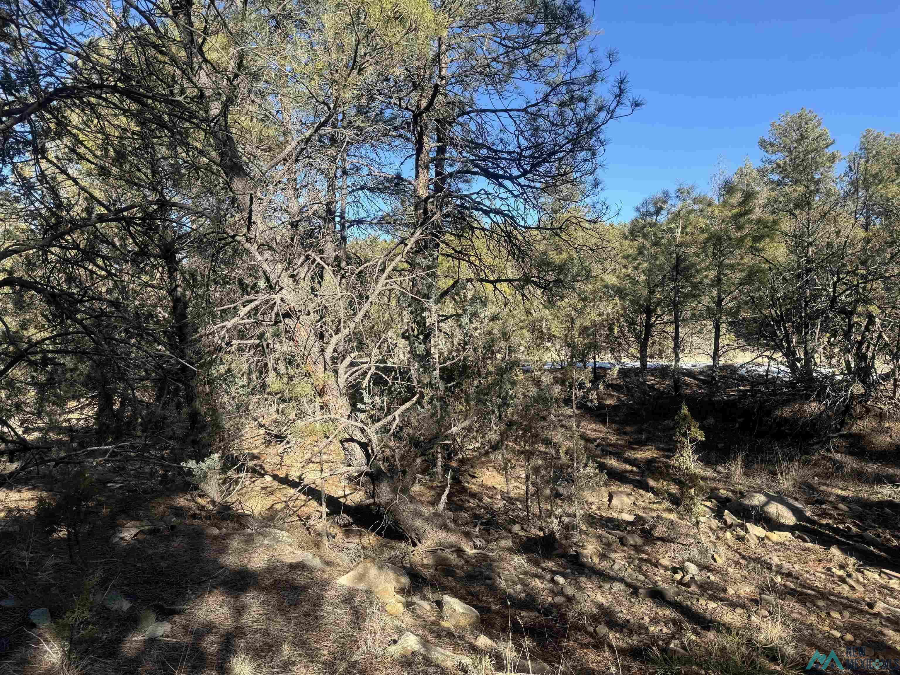 320+/-ac Apache Mesa, Las Vegas, New Mexico image 15