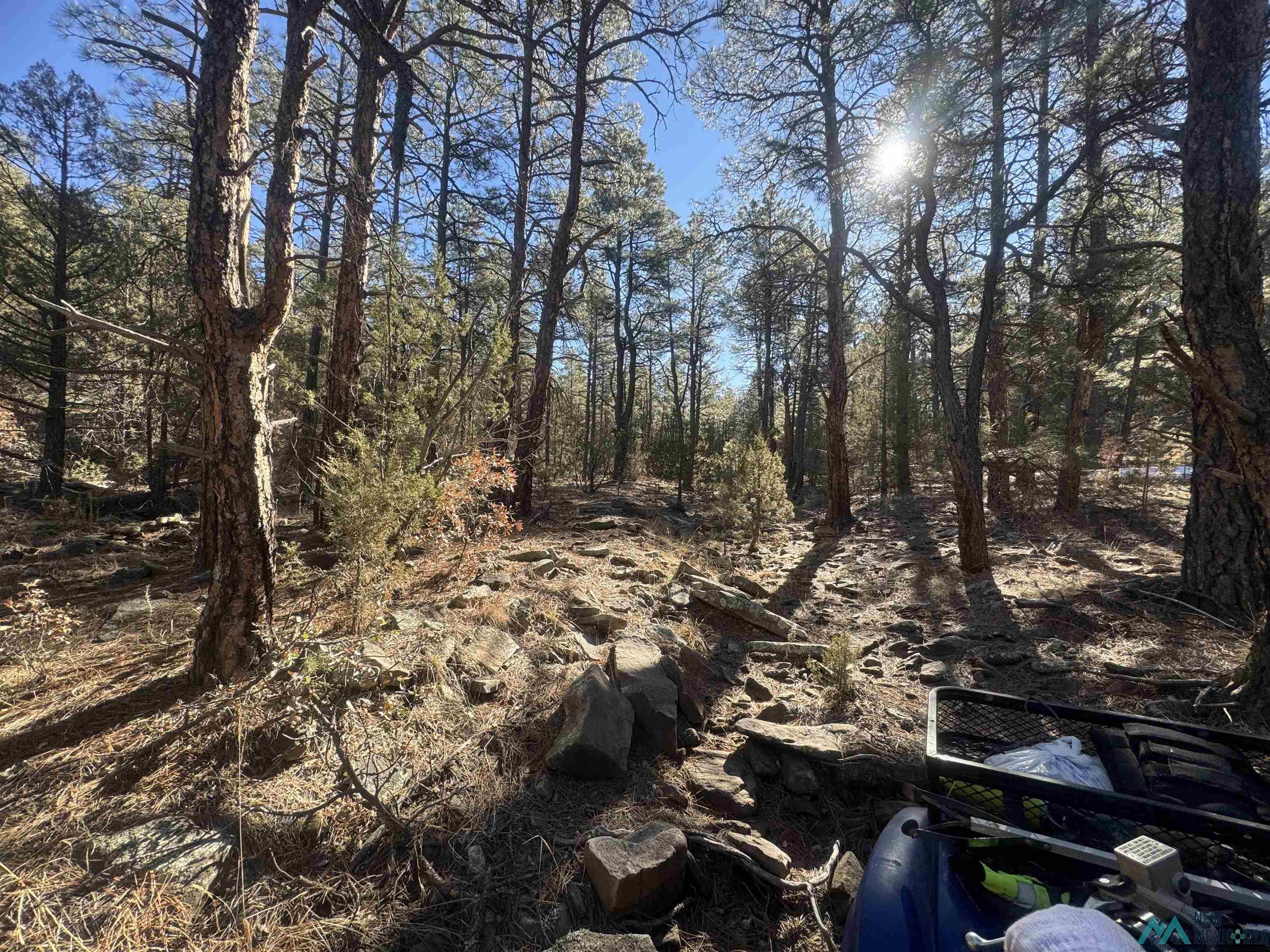 320+/-ac Apache Mesa, Las Vegas, New Mexico image 20