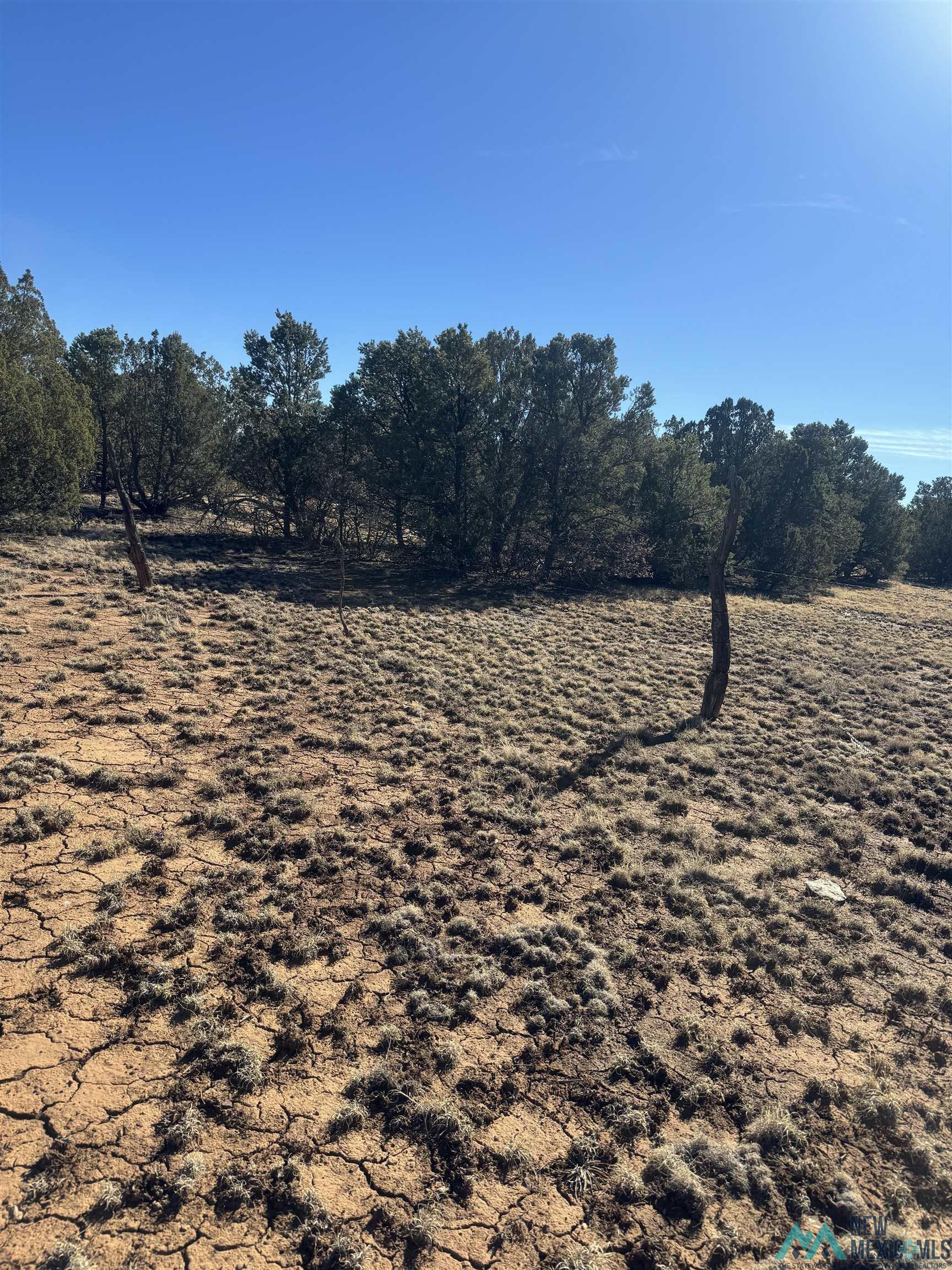 320+/-ac Apache Mesa, Las Vegas, New Mexico image 47