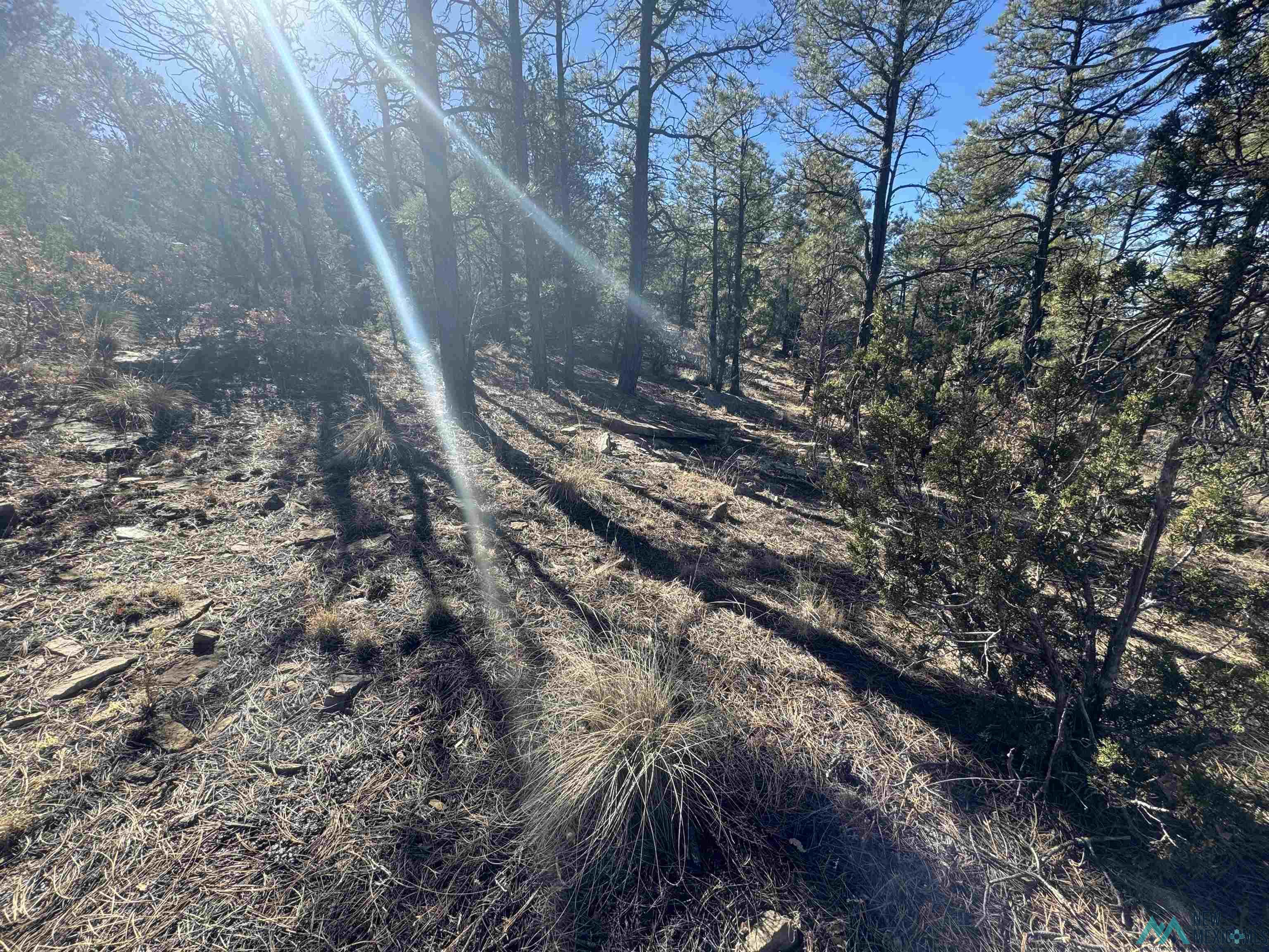 320+/-ac Apache Mesa, Las Vegas, New Mexico image 34