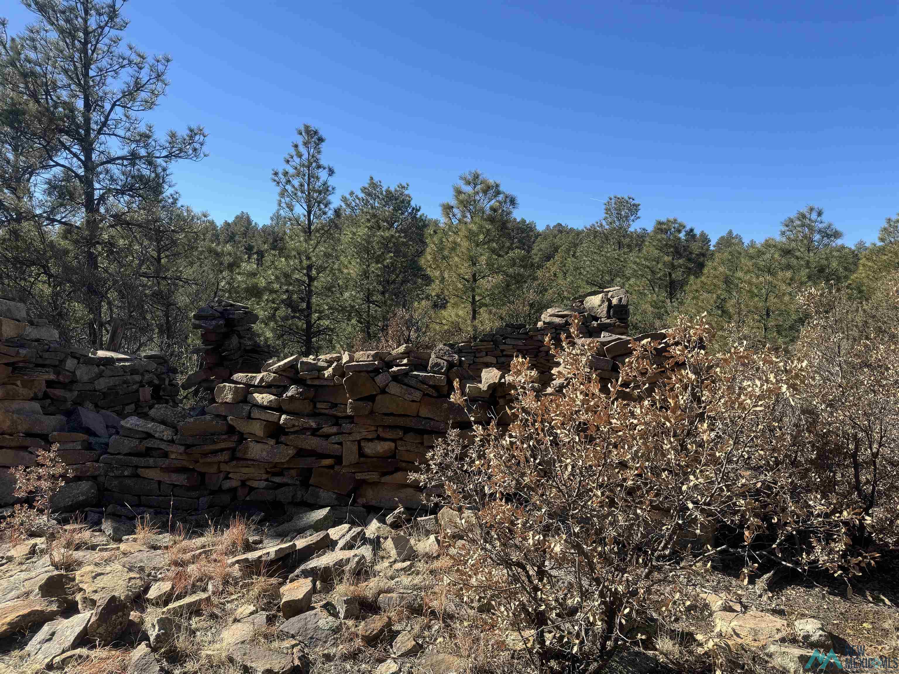 320+/-ac Apache Mesa, Las Vegas, New Mexico image 33