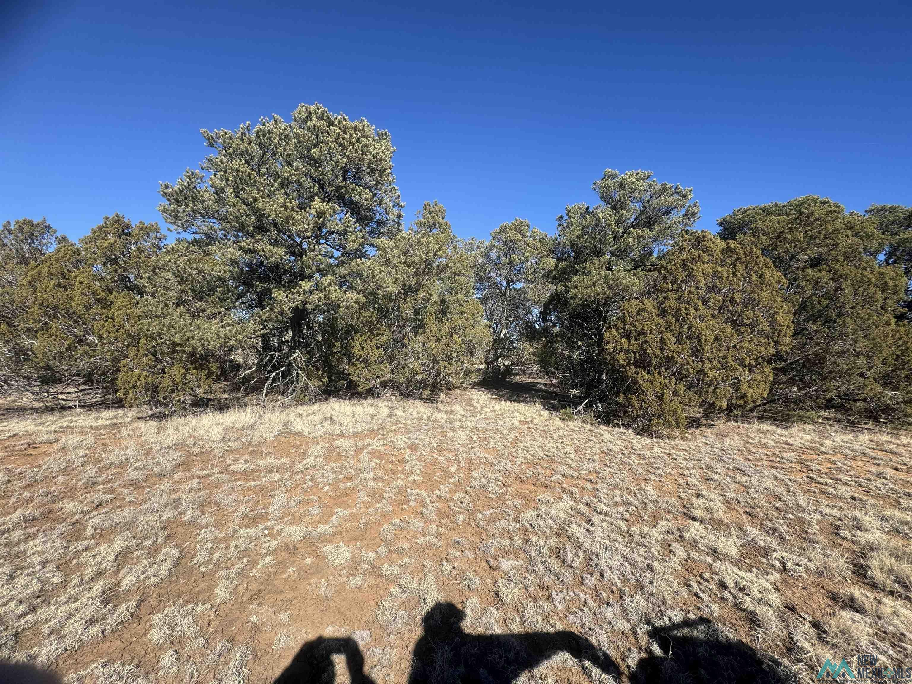 320+/-ac Apache Mesa, Las Vegas, New Mexico image 39