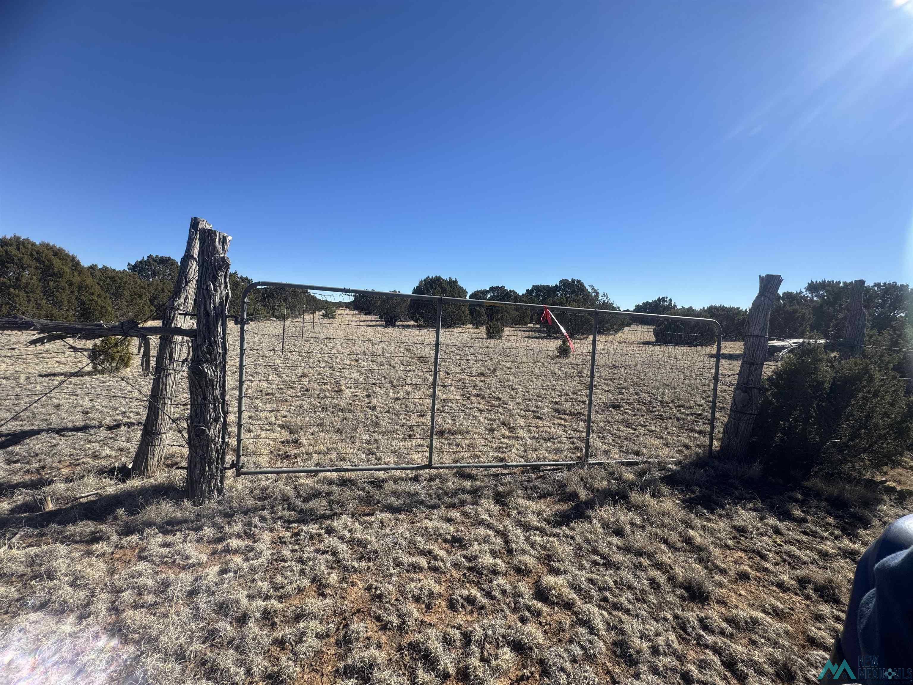 320+/-ac Apache Mesa, Las Vegas, New Mexico image 49