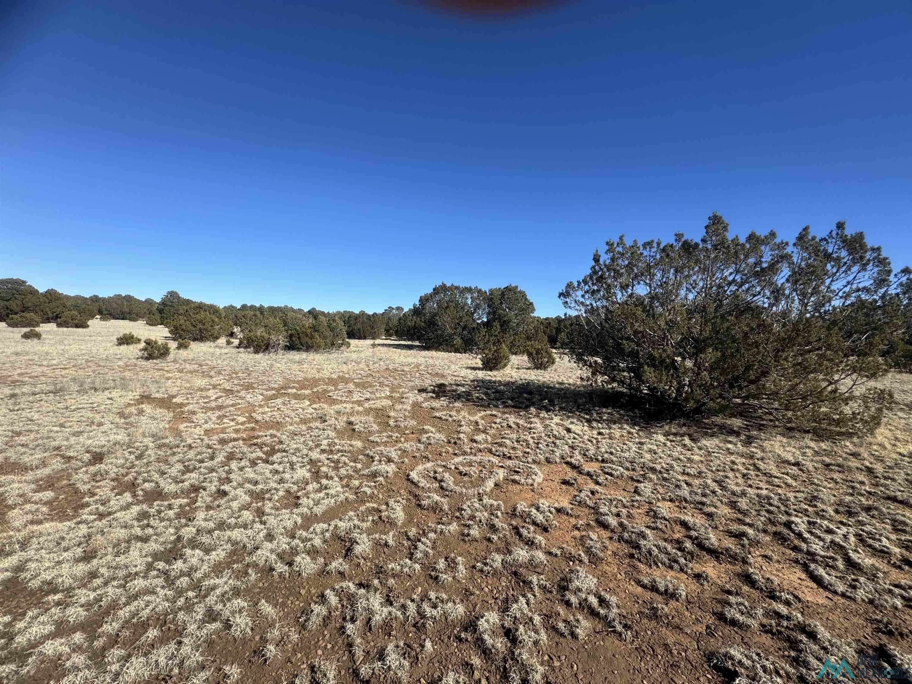 320+/-ac Apache Mesa, Las Vegas, New Mexico image 37