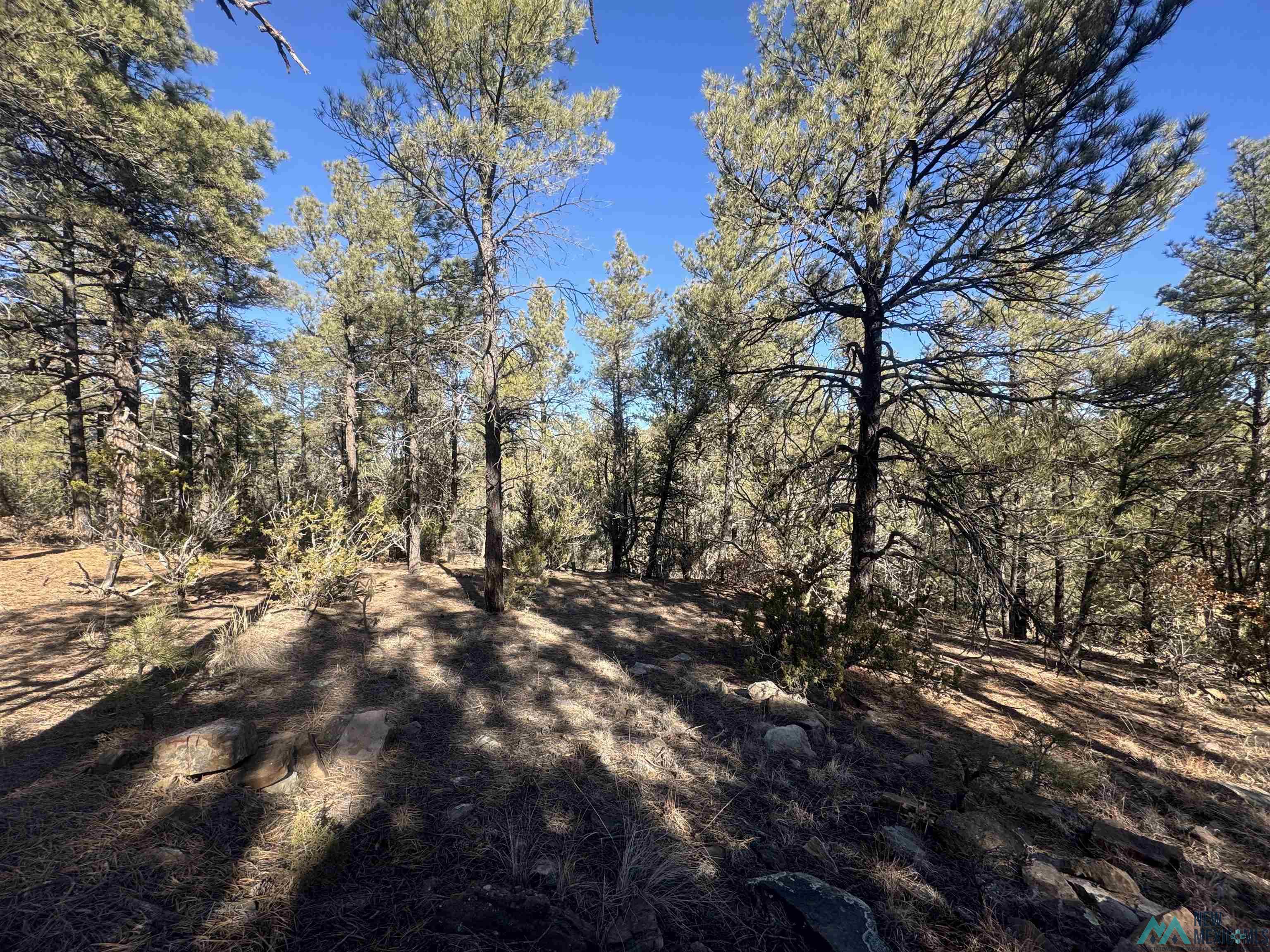 320+/-ac Apache Mesa, Las Vegas, New Mexico image 12