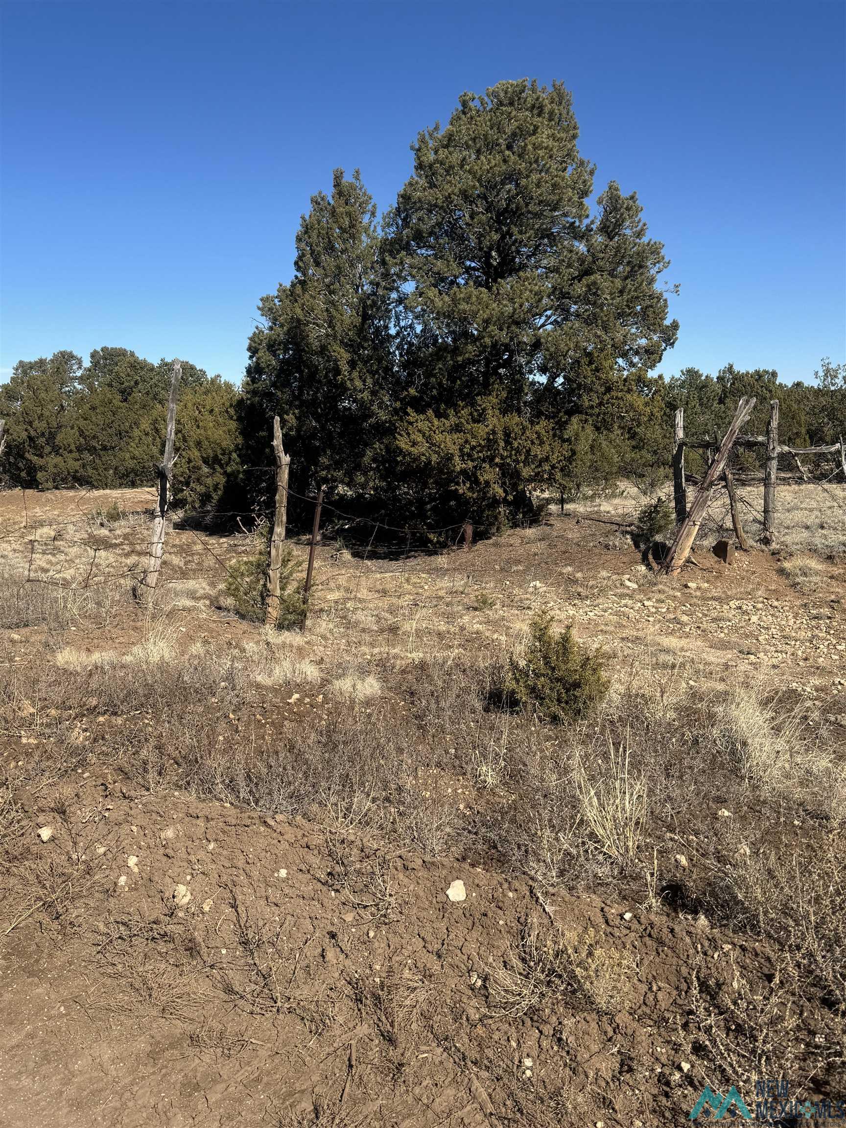 320+/-ac Apache Mesa, Las Vegas, New Mexico image 41