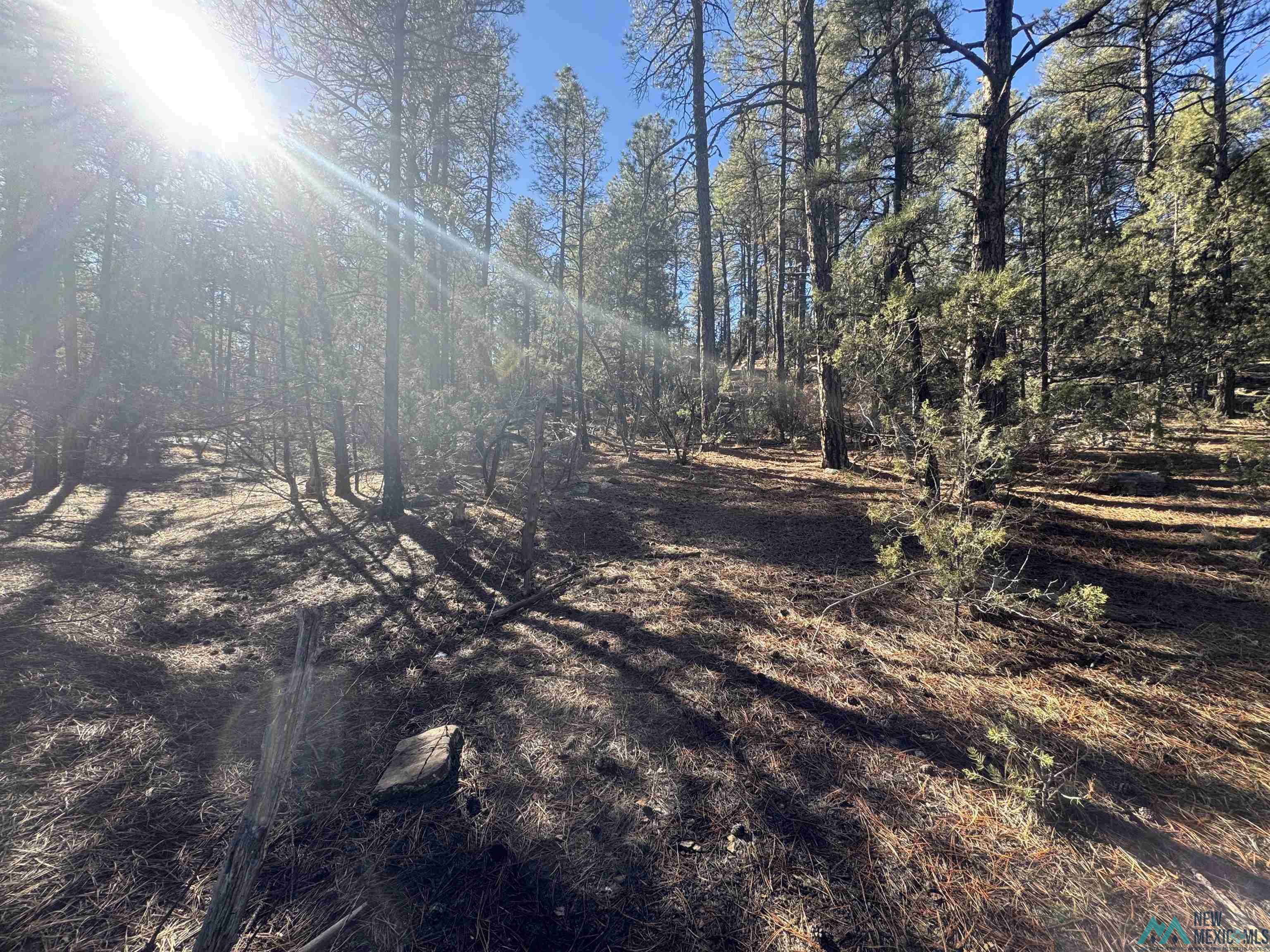 320+/-ac Apache Mesa, Las Vegas, New Mexico image 22