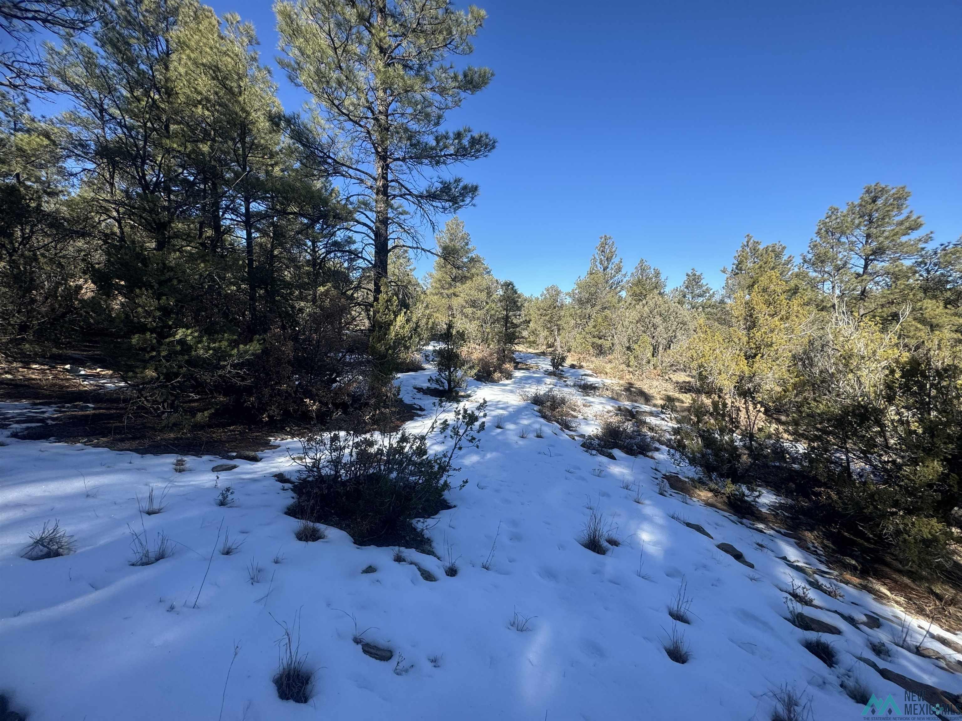 320+/-ac Apache Mesa, Las Vegas, New Mexico image 10