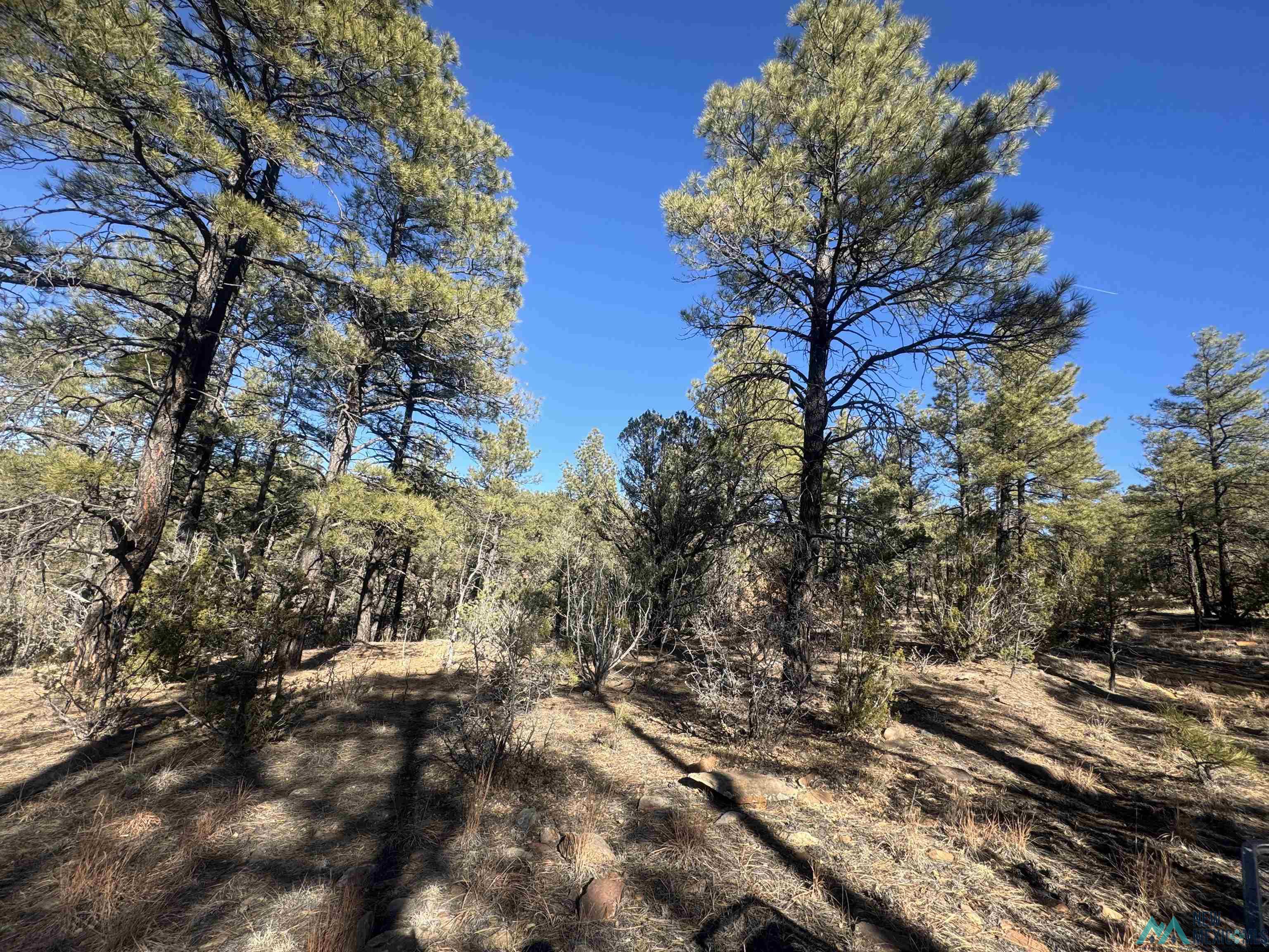 320+/-ac Apache Mesa, Las Vegas, New Mexico image 27