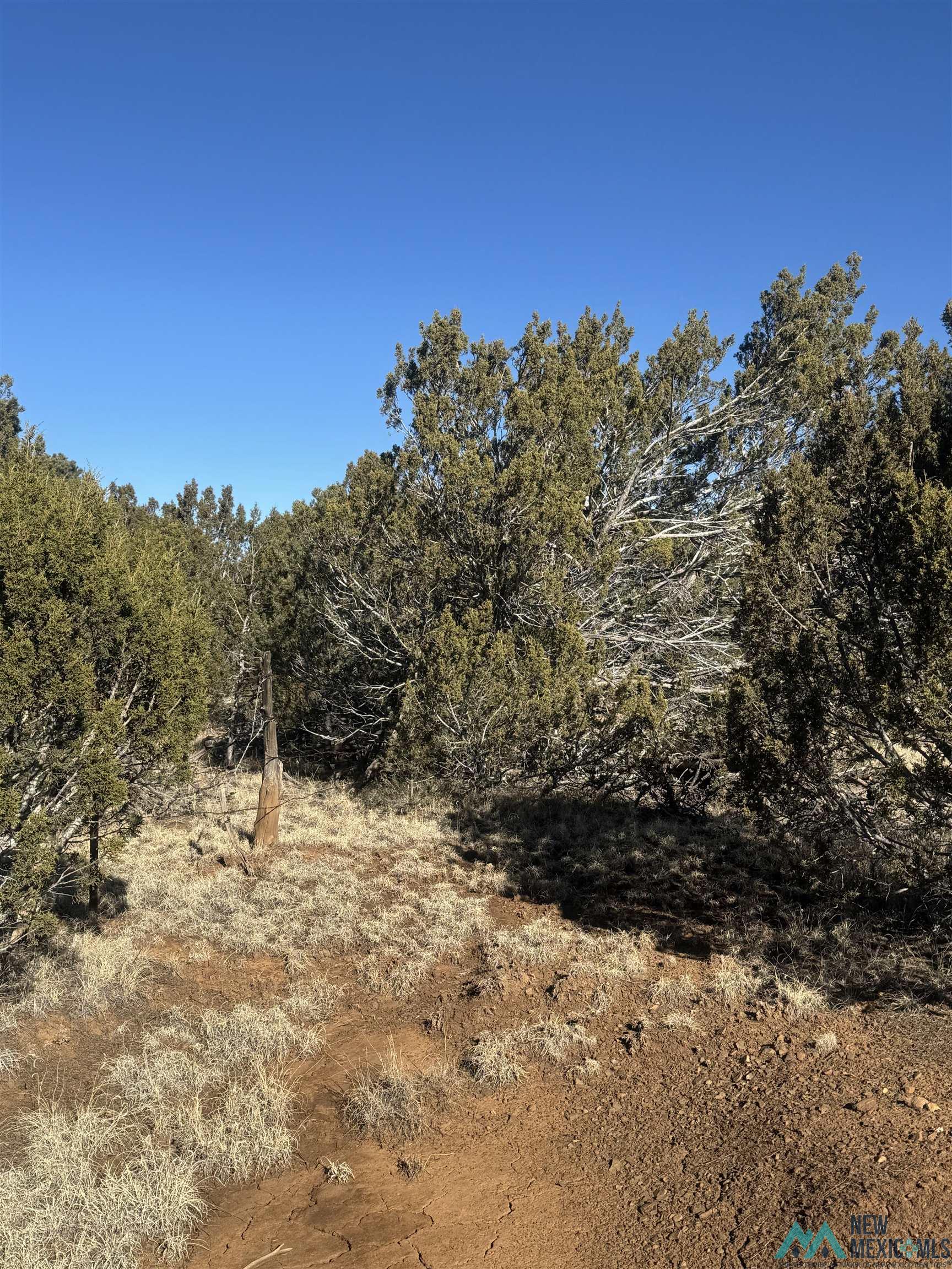 320+/-ac Apache Mesa, Las Vegas, New Mexico image 4