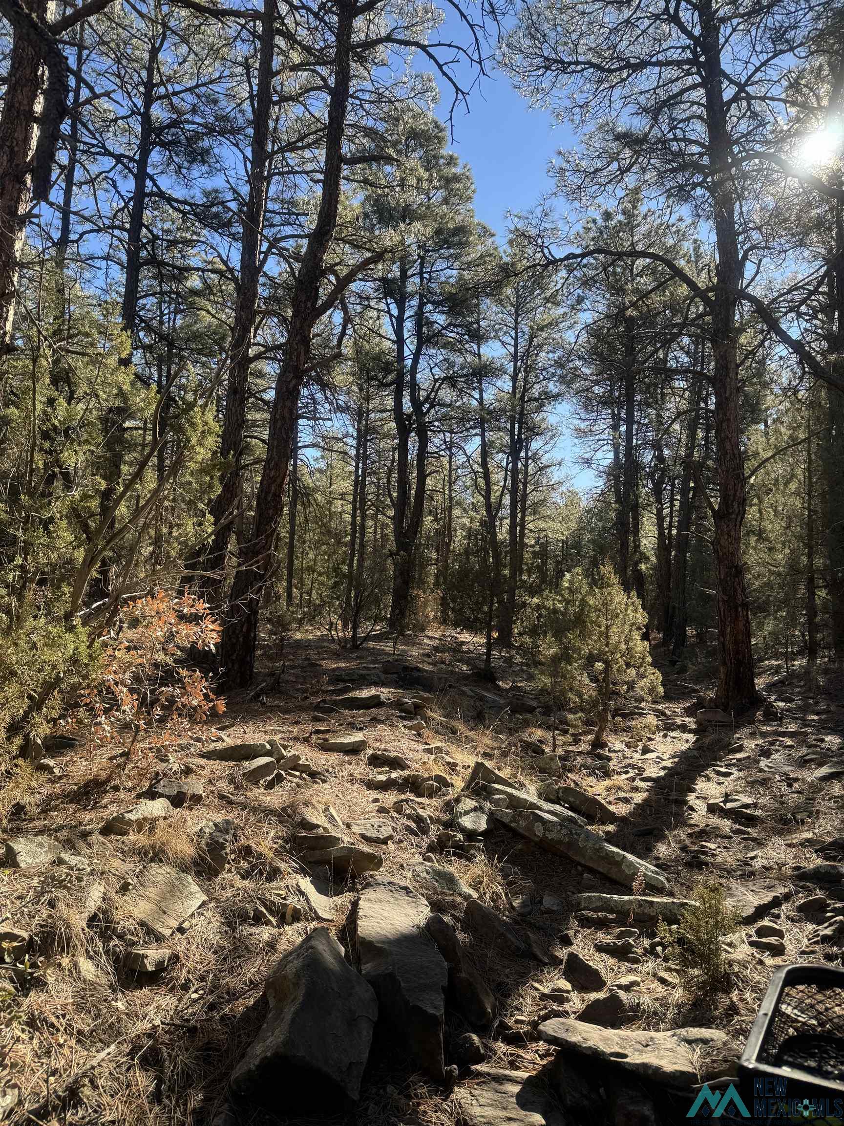 320+/-ac Apache Mesa, Las Vegas, New Mexico image 19