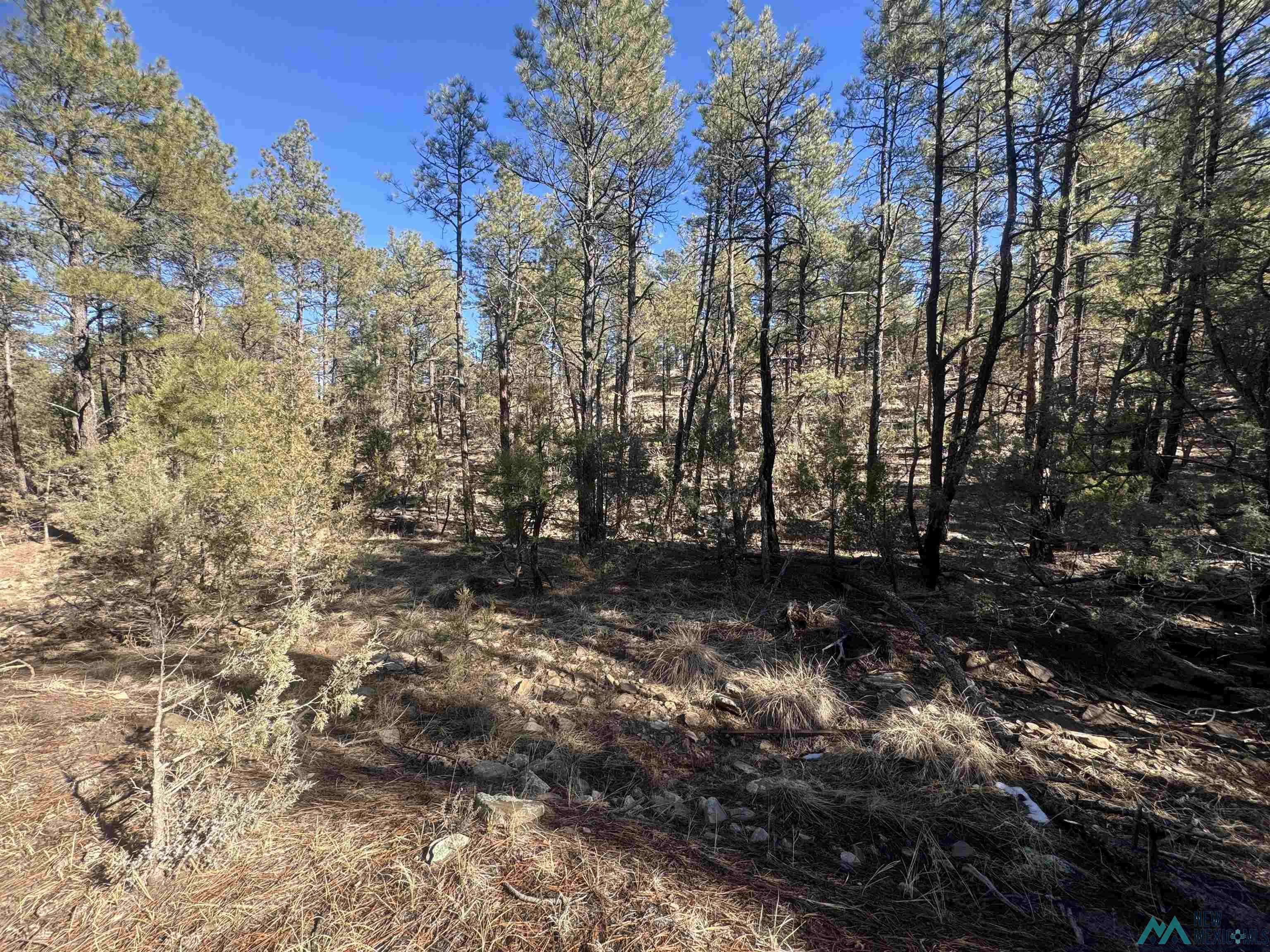 320+/-ac Apache Mesa, Las Vegas, New Mexico image 24