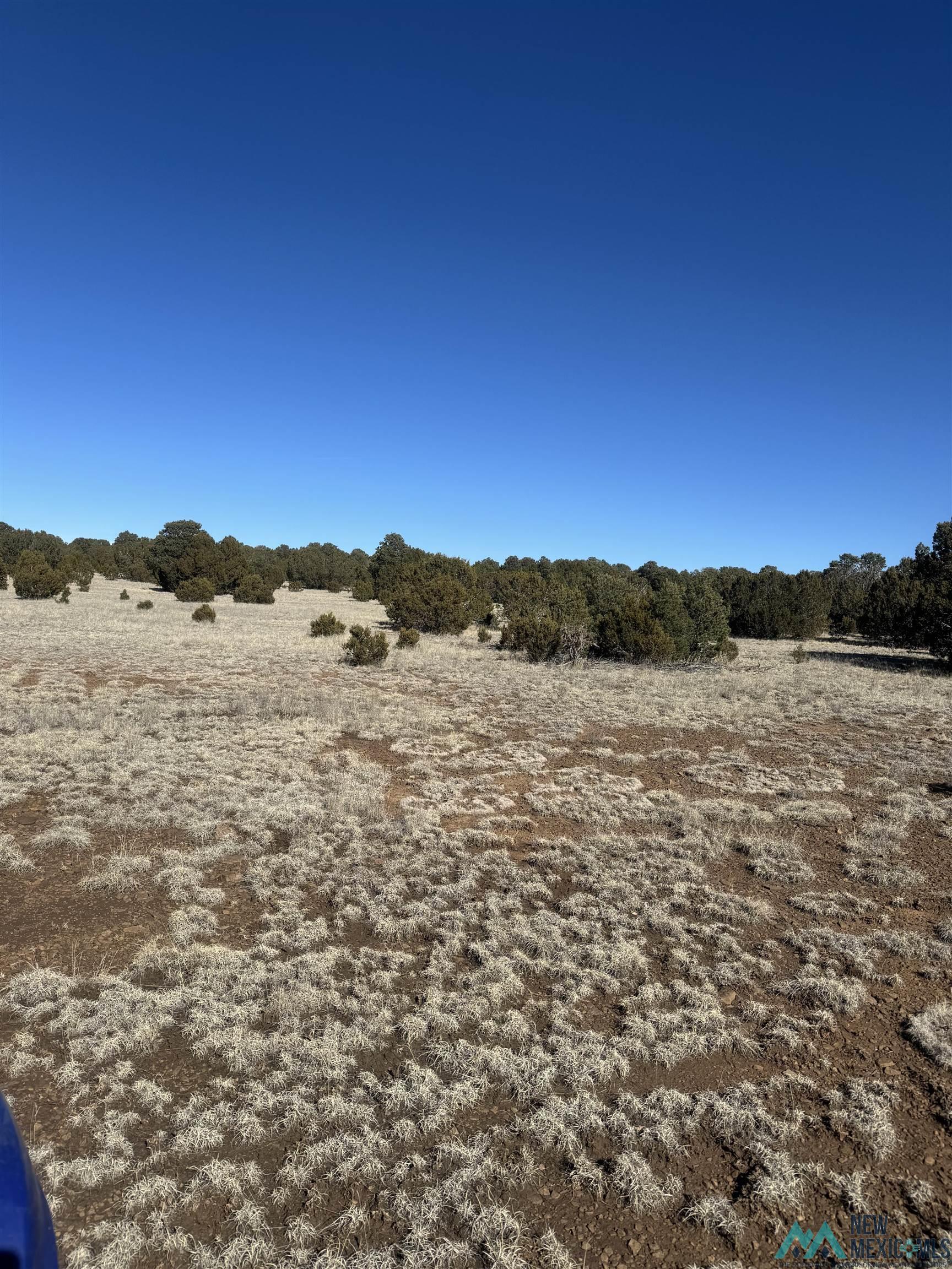 320+/-ac Apache Mesa, Las Vegas, New Mexico image 36