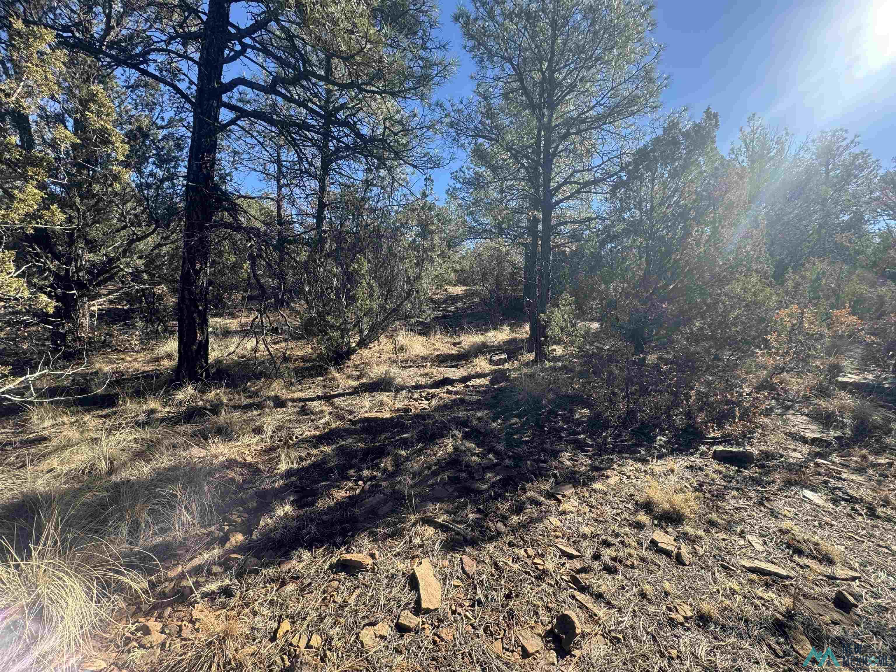 320+/-ac Apache Mesa, Las Vegas, New Mexico image 35