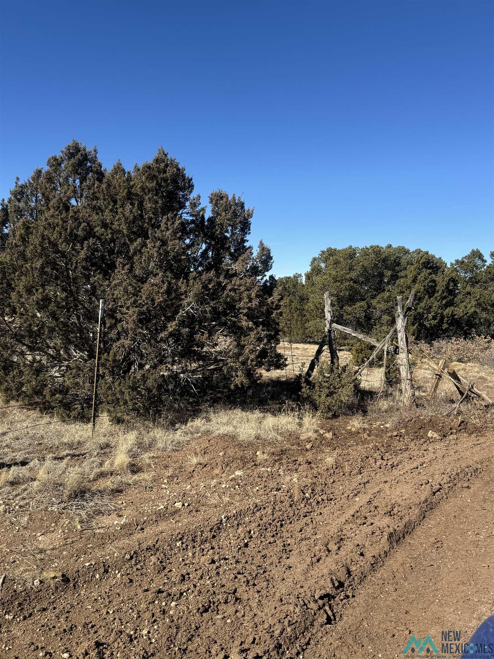 320+/-ac Apache Mesa, Las Vegas, New Mexico image 42