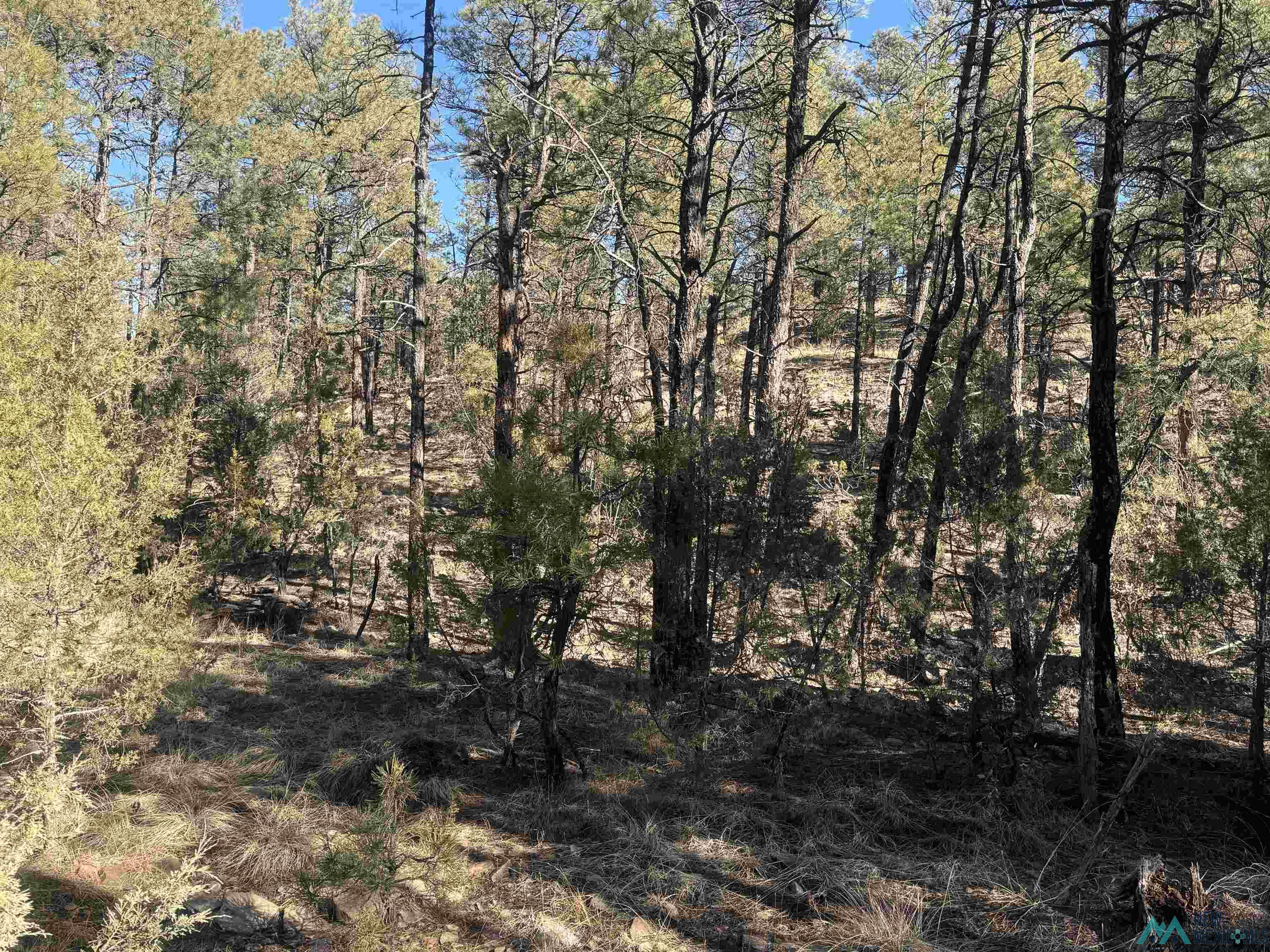 320+/-ac Apache Mesa, Las Vegas, New Mexico image 25