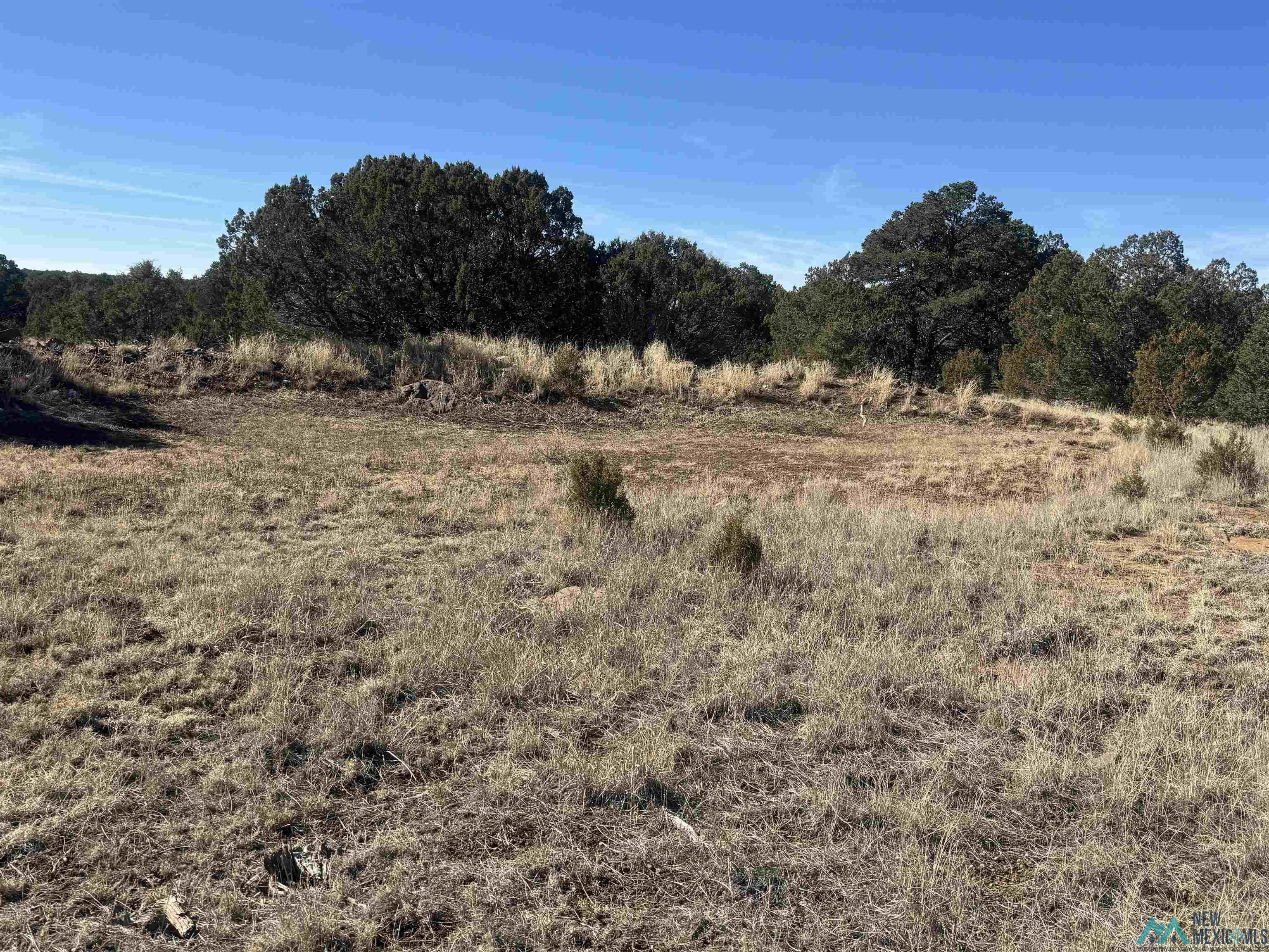 320+/-ac Apache Mesa, Las Vegas, New Mexico image 38