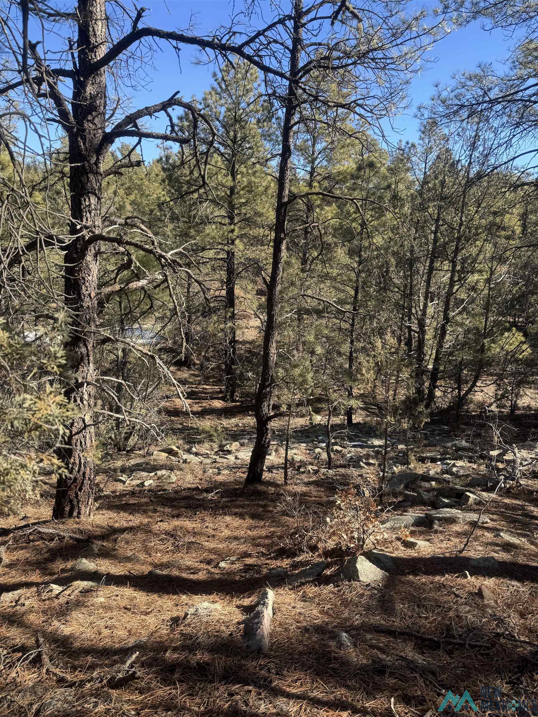 320+/-ac Apache Mesa, Las Vegas, New Mexico image 14