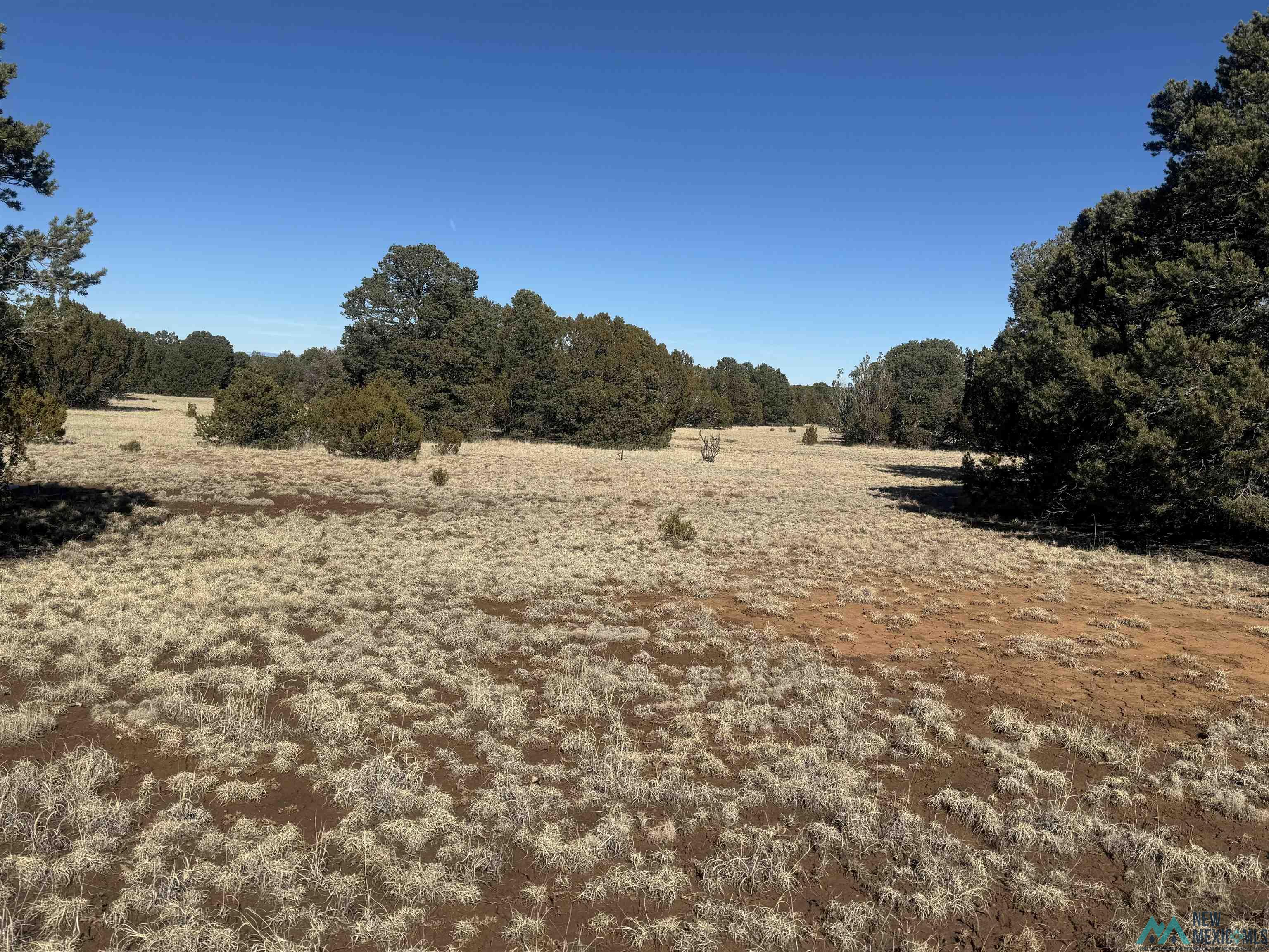 320+/-ac Apache Mesa, Las Vegas, New Mexico image 48