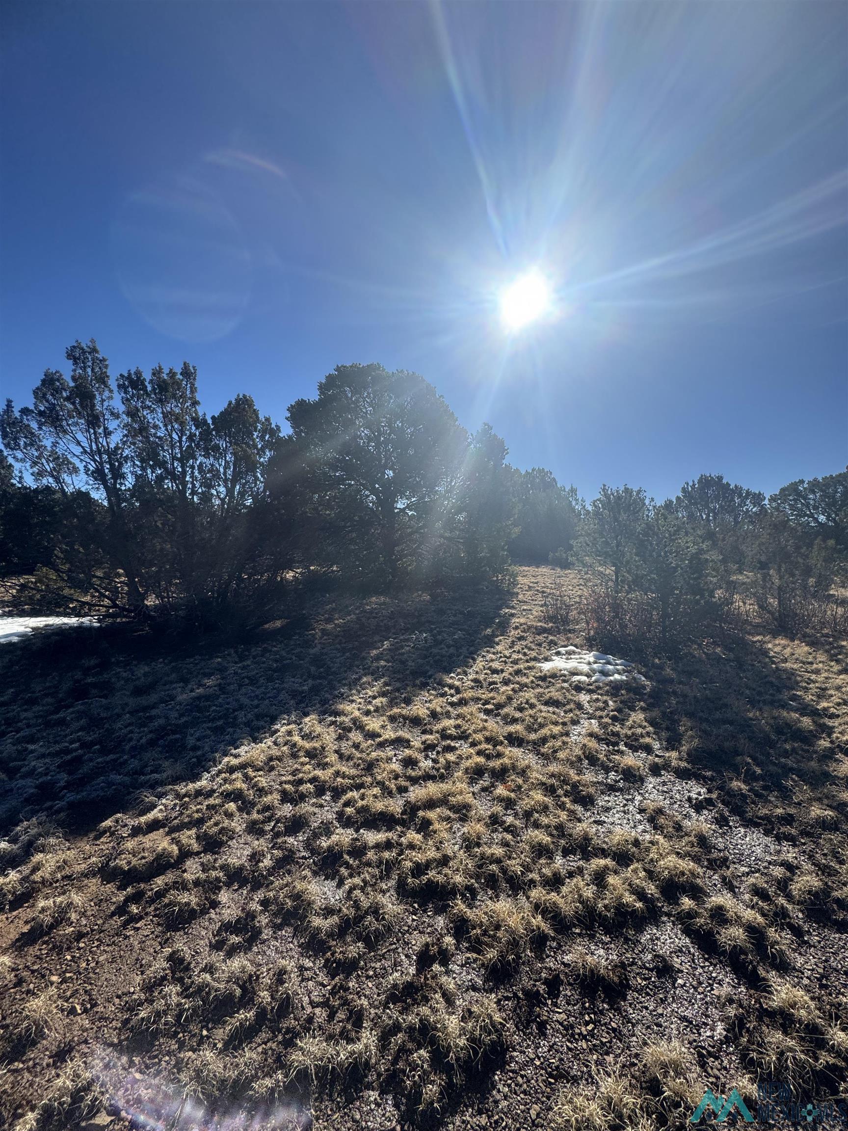 320+/-ac Apache Mesa, Las Vegas, New Mexico image 5