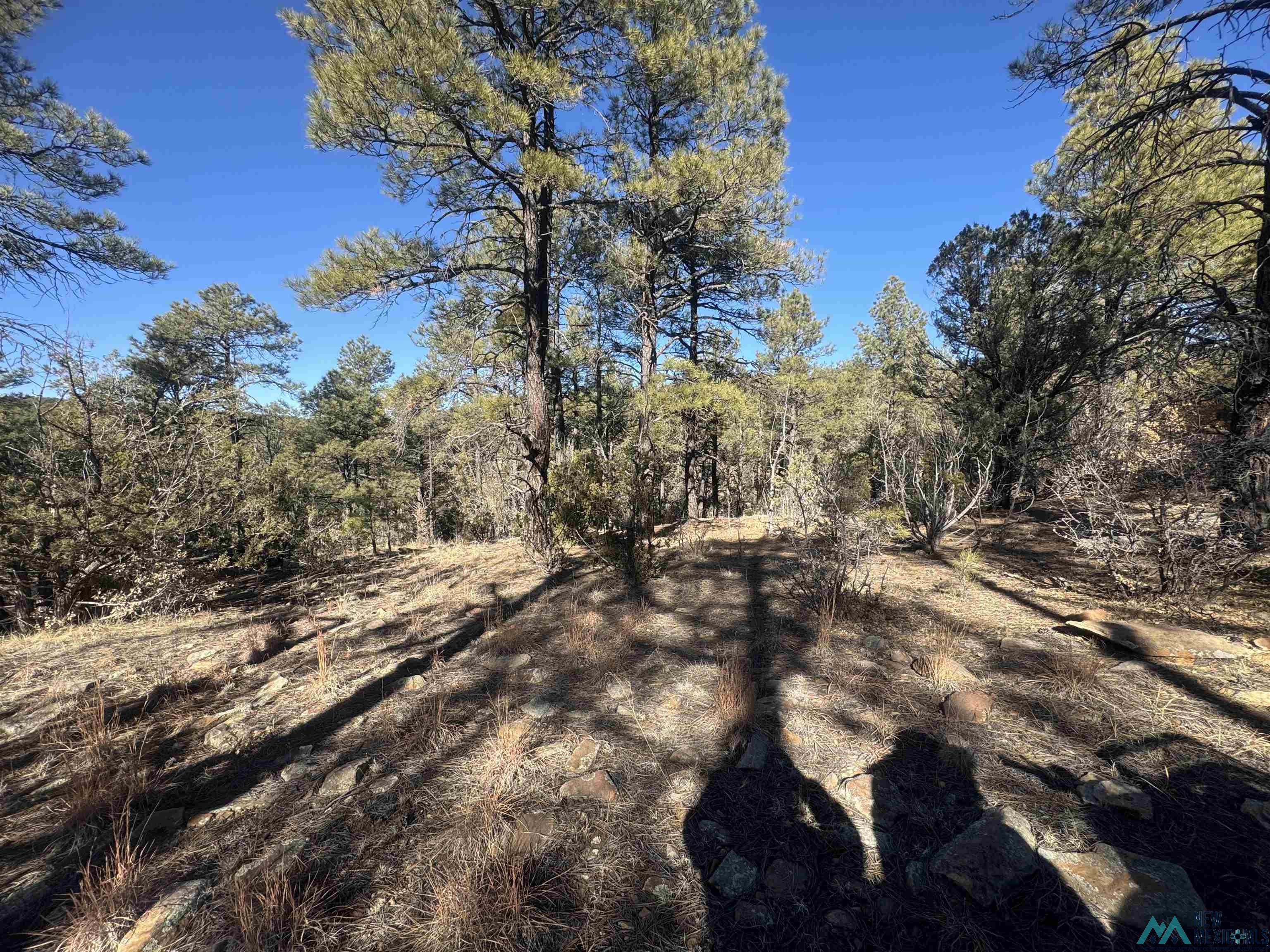 320+/-ac Apache Mesa, Las Vegas, New Mexico image 26