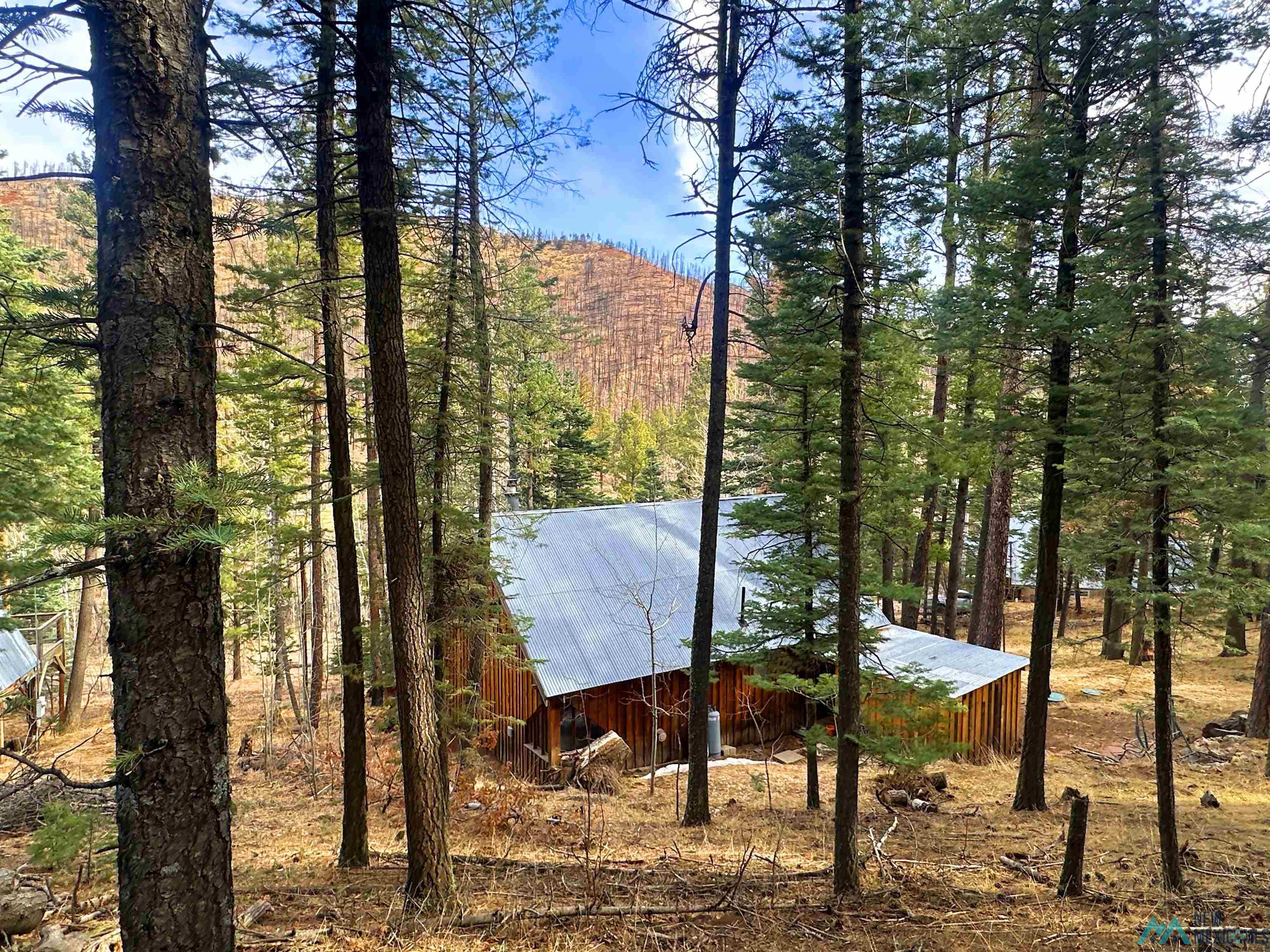 11 W Meadow Lane, Sapello, New Mexico image 34