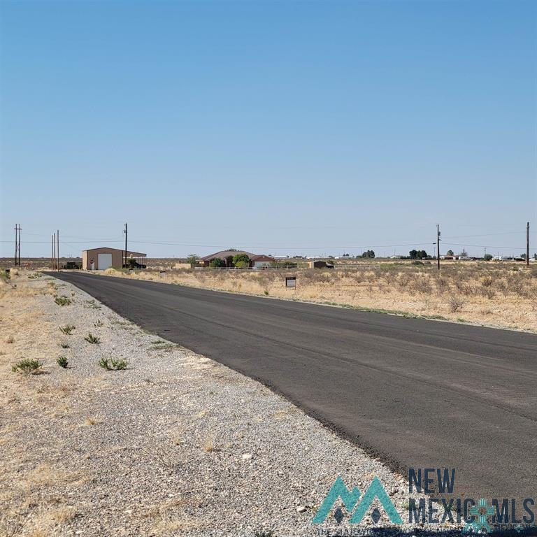 Lot 22B S Tagwood Lane, Carlsbad, New Mexico image 5