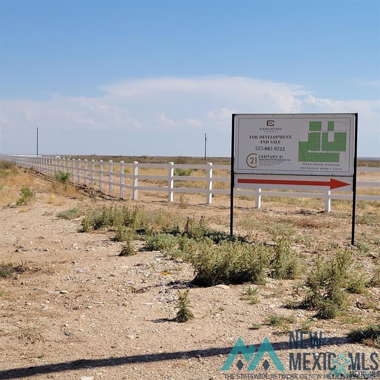 Lot 22B S Tagwood Lane, Carlsbad, New Mexico image 4