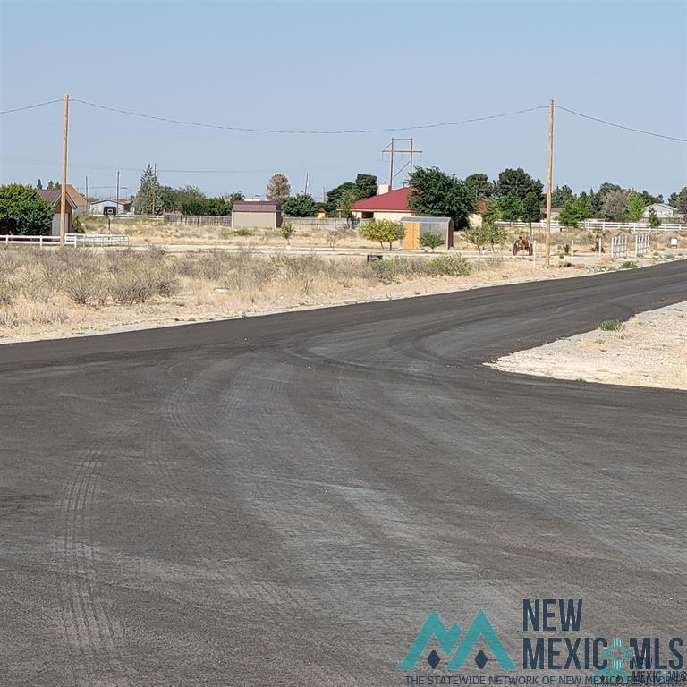 Lot 22B S Tagwood Lane, Carlsbad, New Mexico image 7