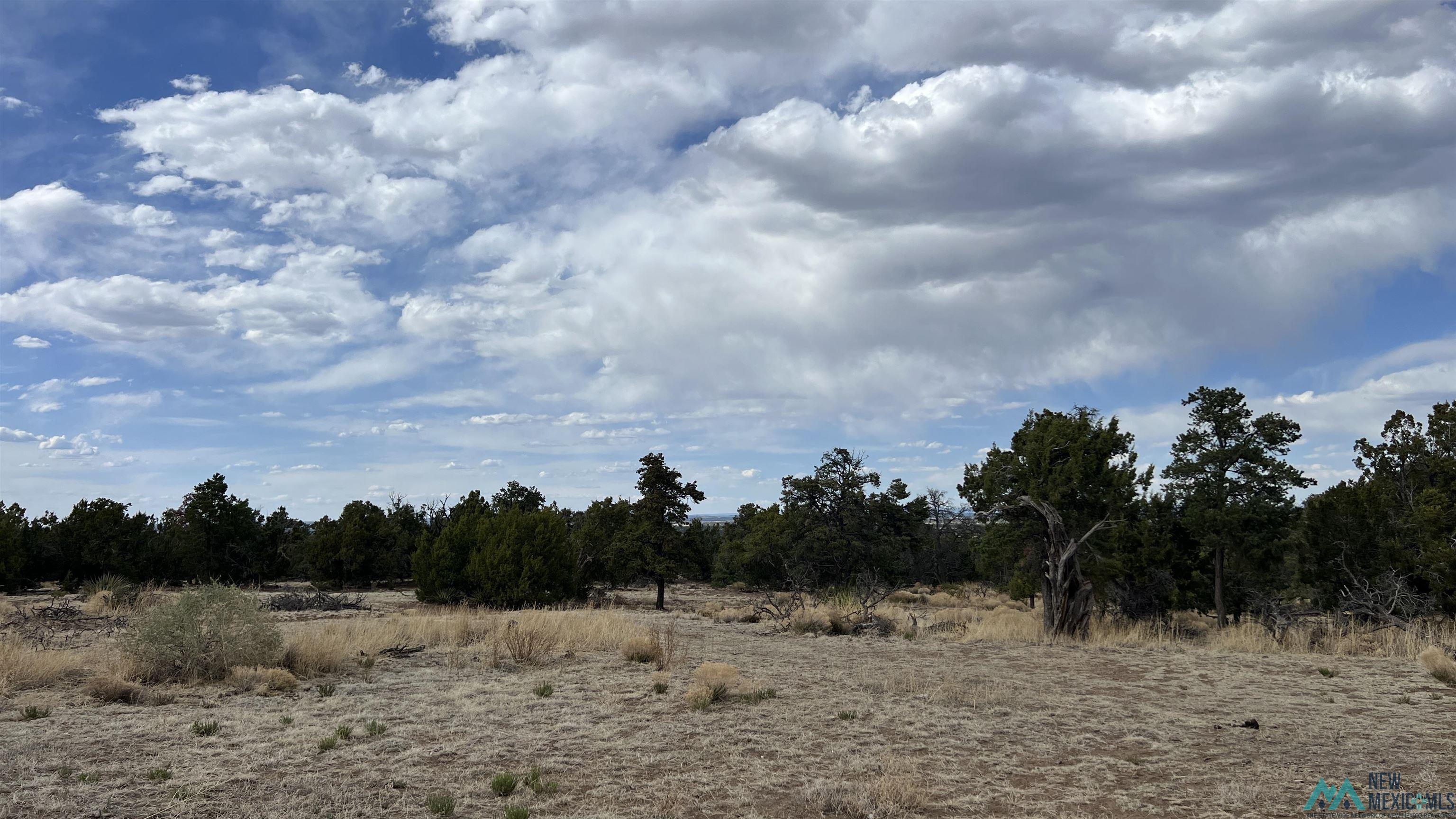 61 Native Drum Road, Fence Lake, Texas image 41