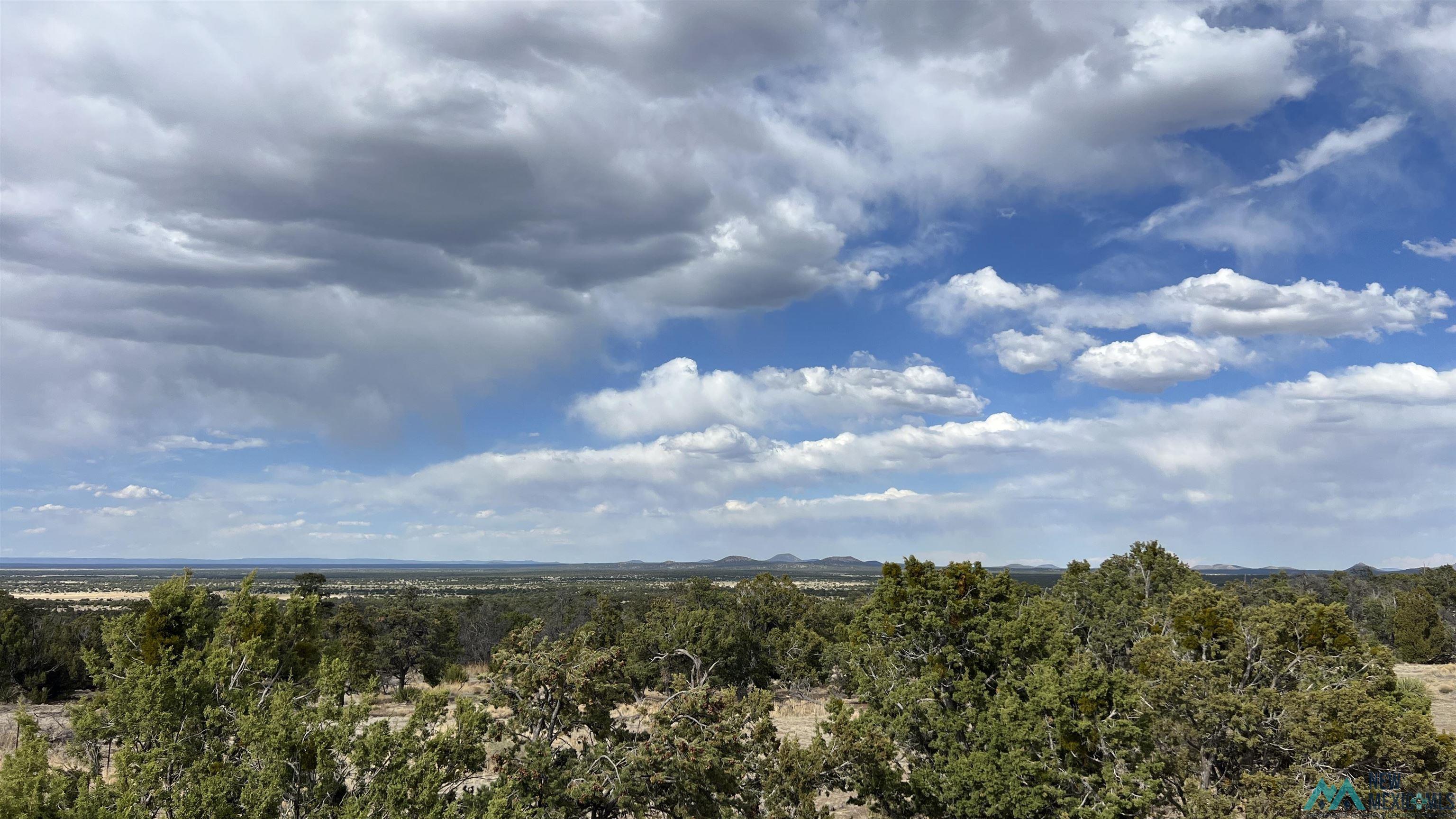 61 Native Drum Road, Fence Lake, Texas image 40