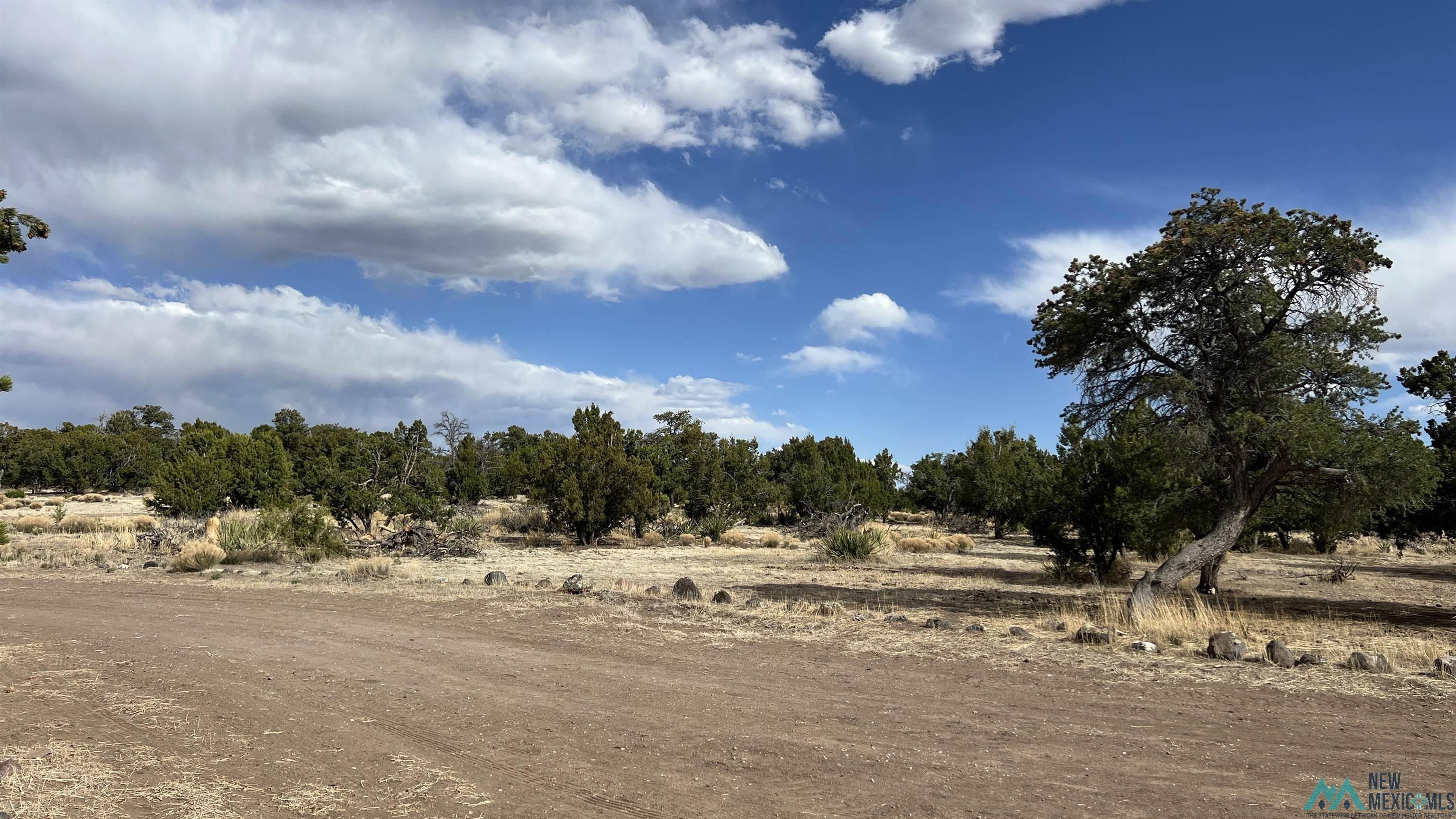 61 Native Drum Road, Fence Lake, Texas image 44