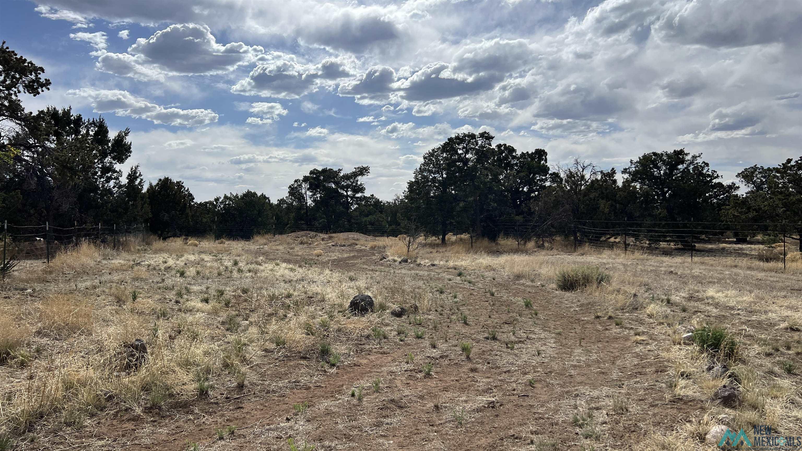 61 Native Drum Road, Fence Lake, Texas image 42
