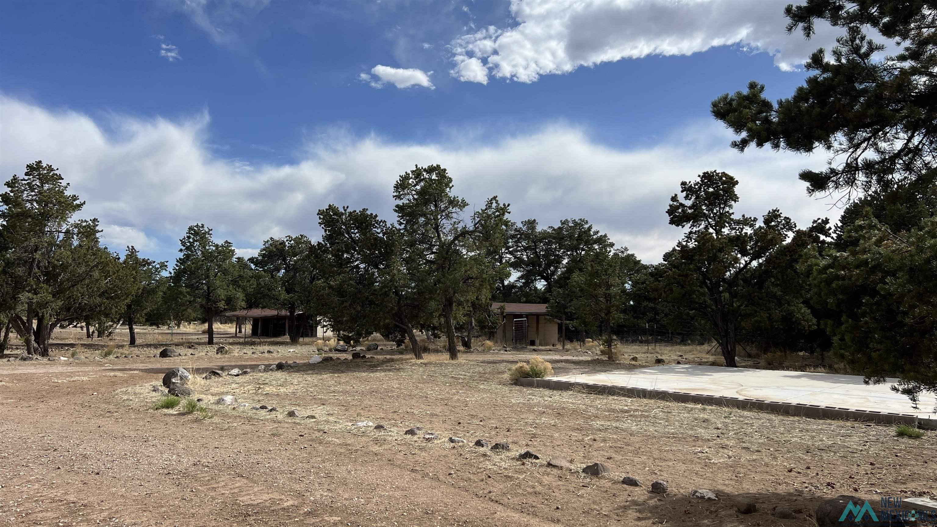 61 Native Drum Road, Fence Lake, Texas image 32