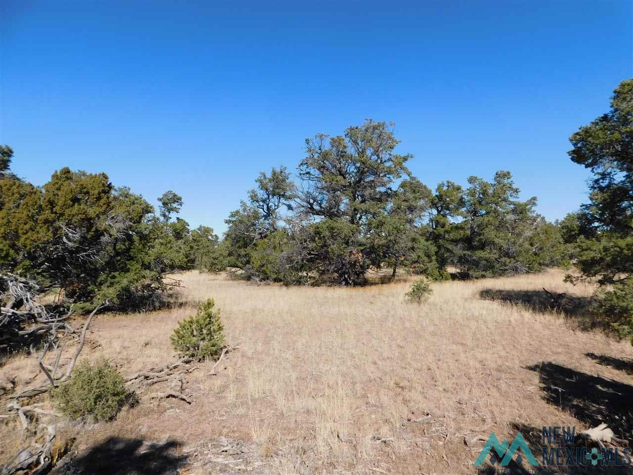 LOT 127 Agua Fria Loop, Quemado, New Mexico image 8