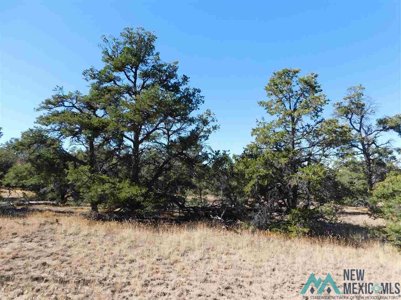 LOT 127 Agua Fria Loop, Quemado, New Mexico image 10