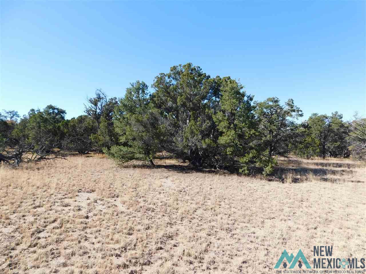 LOT 127 Agua Fria Loop, Quemado, New Mexico image 7