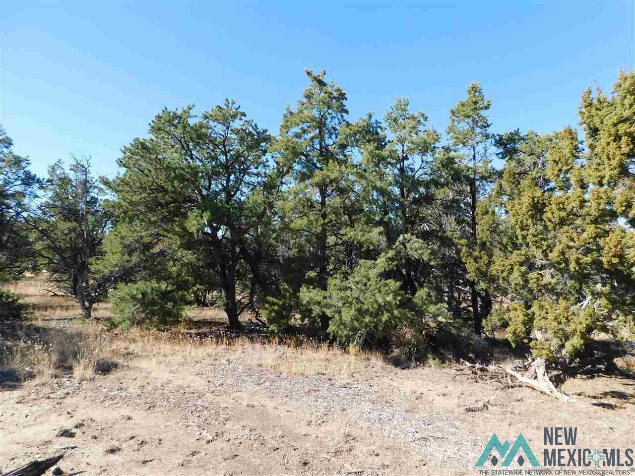 LOT 127 Agua Fria Loop, Quemado, New Mexico image 12