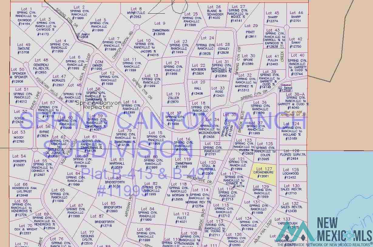 LOT 127 Agua Fria Loop, Quemado, New Mexico image 18