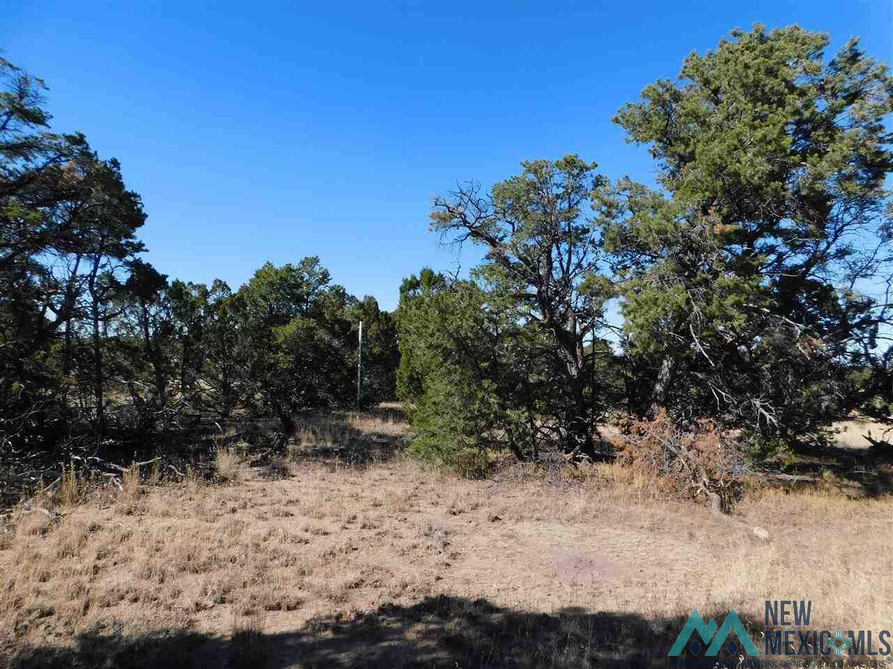 LOT 127 Agua Fria Loop, Quemado, New Mexico image 3