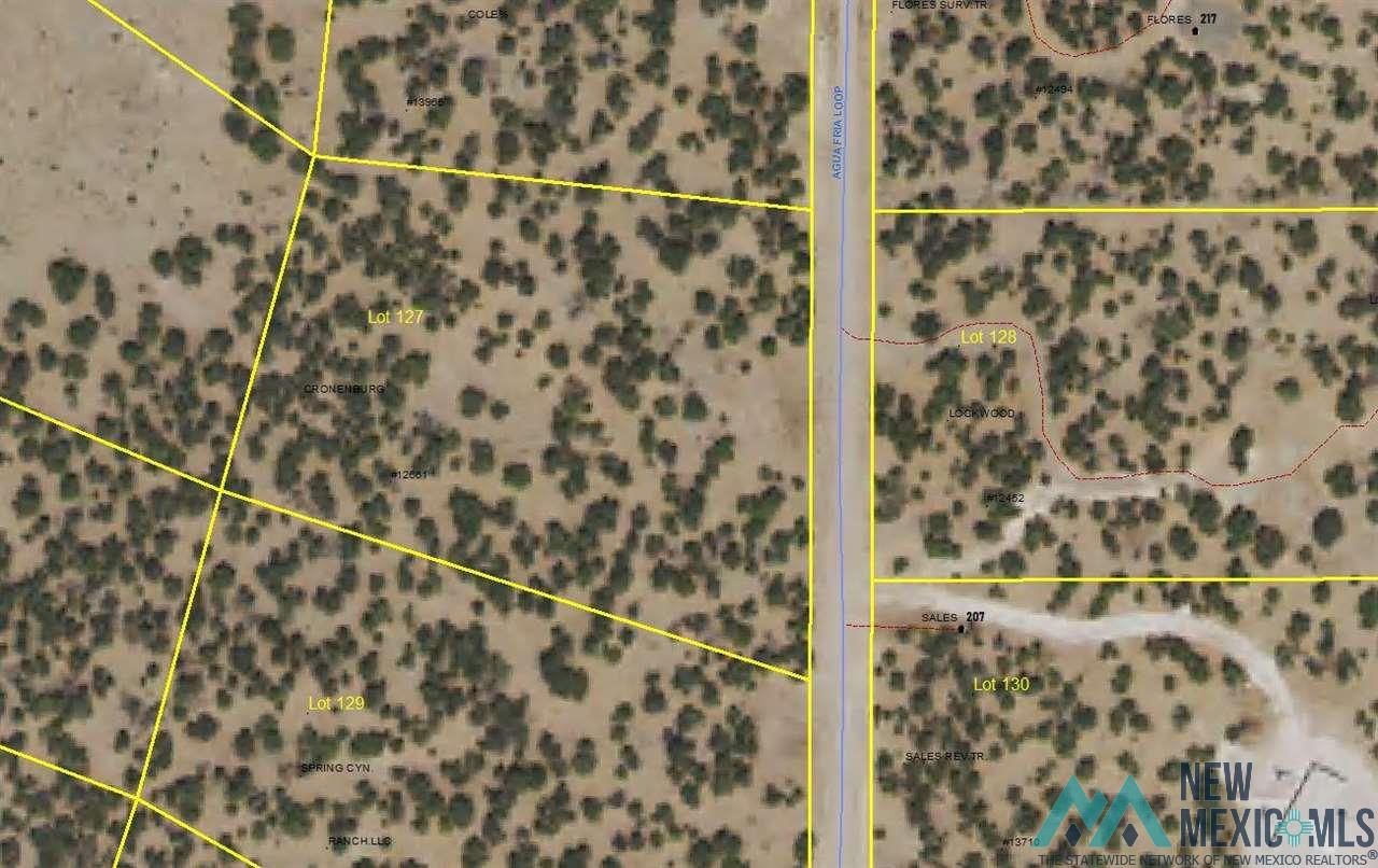 LOT 127 Agua Fria Loop, Quemado, New Mexico image 1