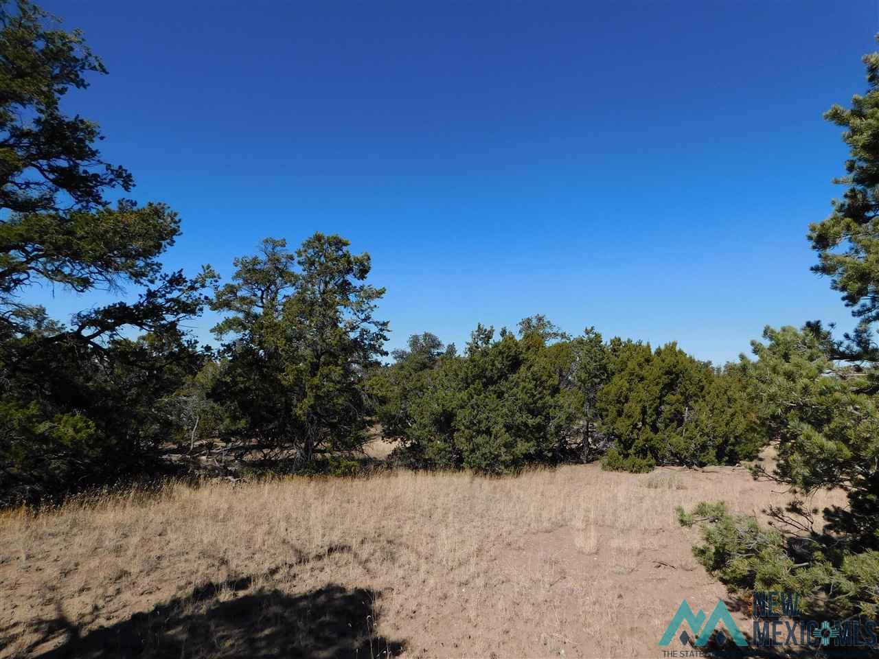 LOT 127 Agua Fria Loop, Quemado, New Mexico image 11