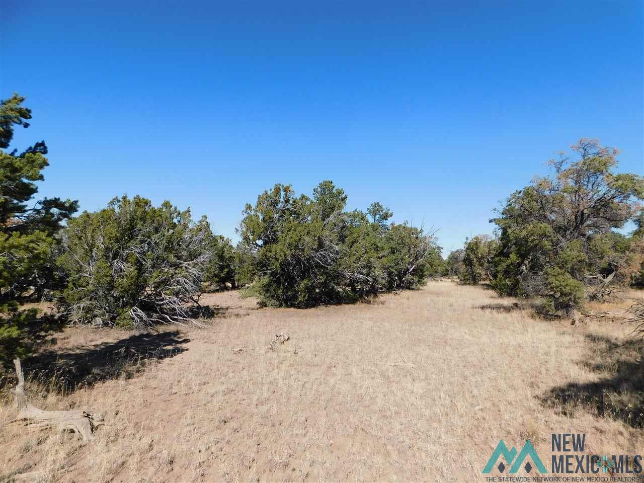 LOT 127 Agua Fria Loop, Quemado, New Mexico image 4