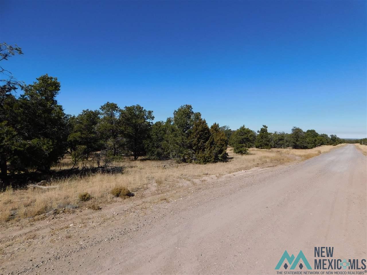 LOT 127 Agua Fria Loop, Quemado, New Mexico image 15