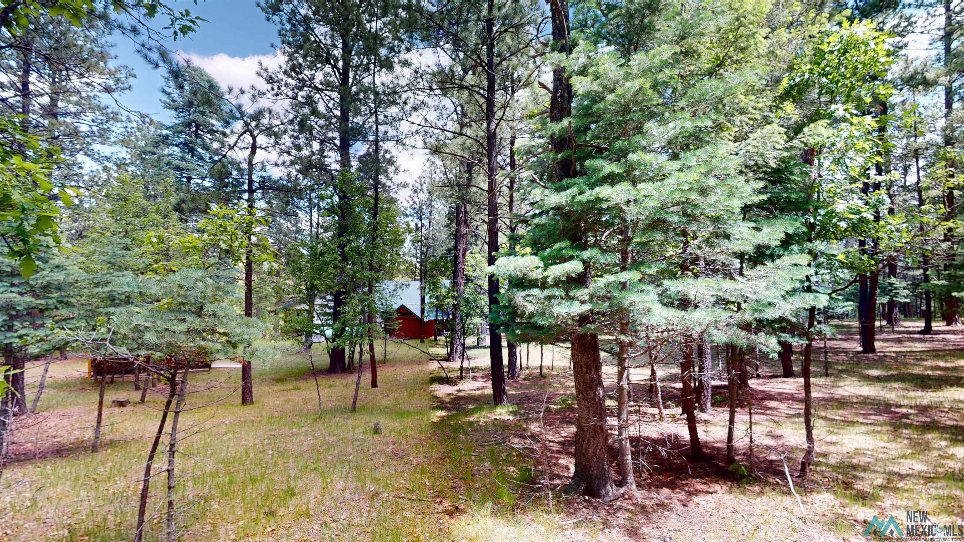 60 W Forest Drive, Rociada, Texas image 39