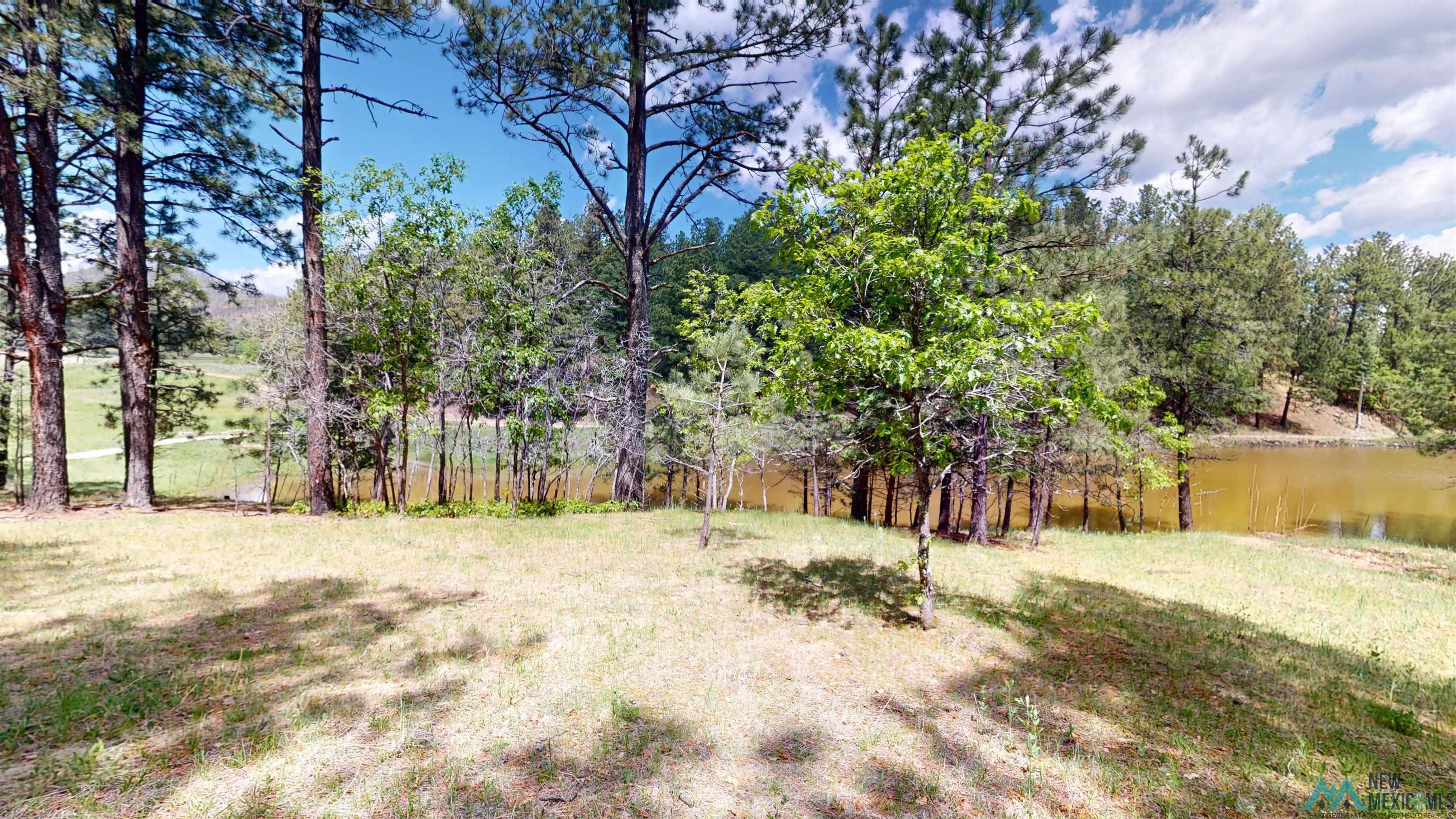 60 W Forest Drive, Rociada, Texas image 41