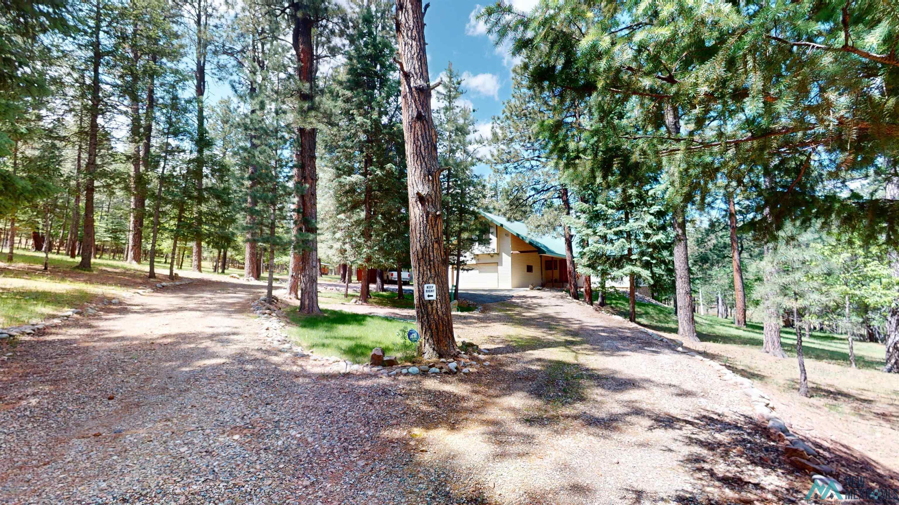 60 W Forest Drive, Rociada, Texas image 42